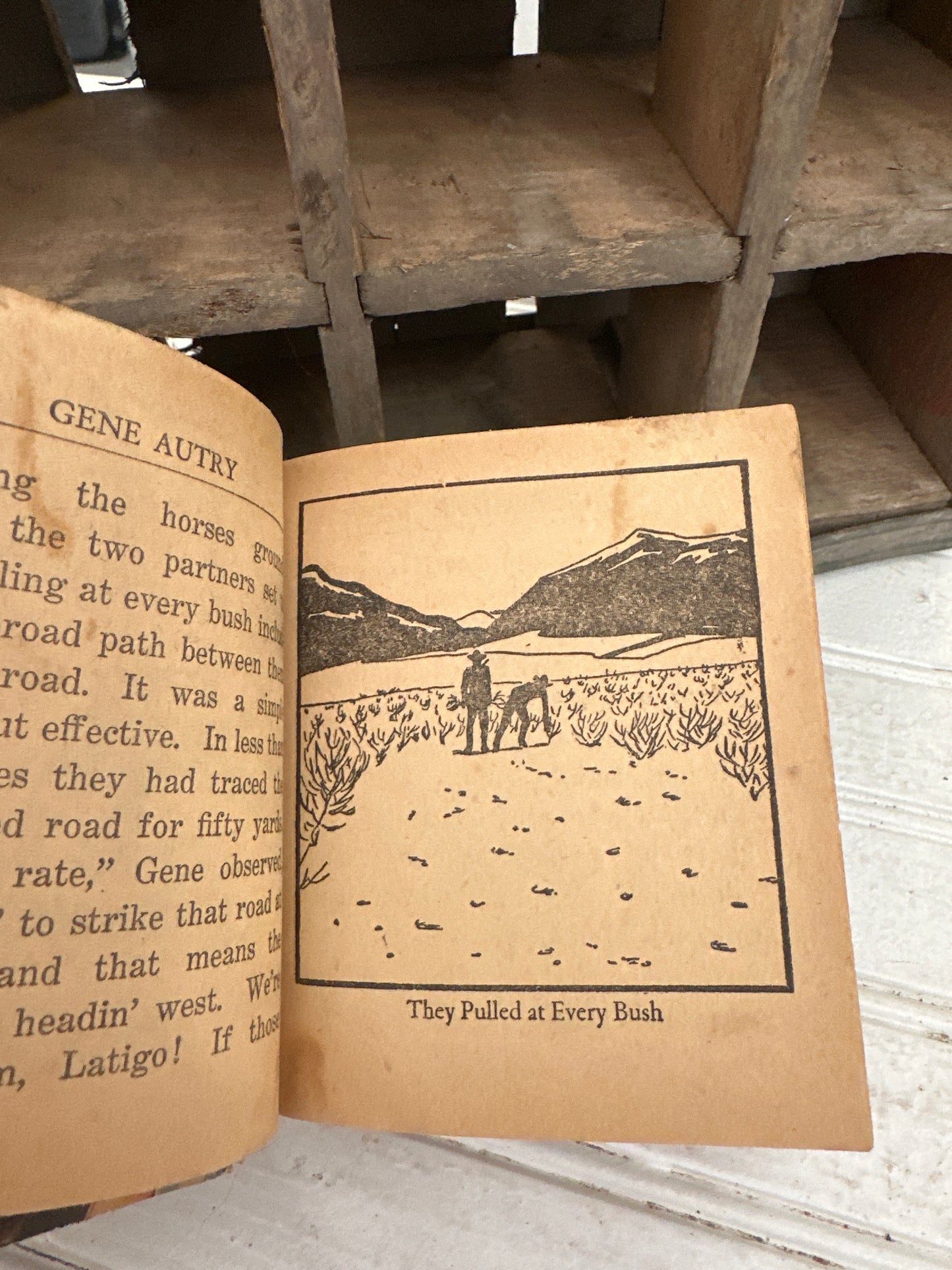 Gene Autry Law of the Range book