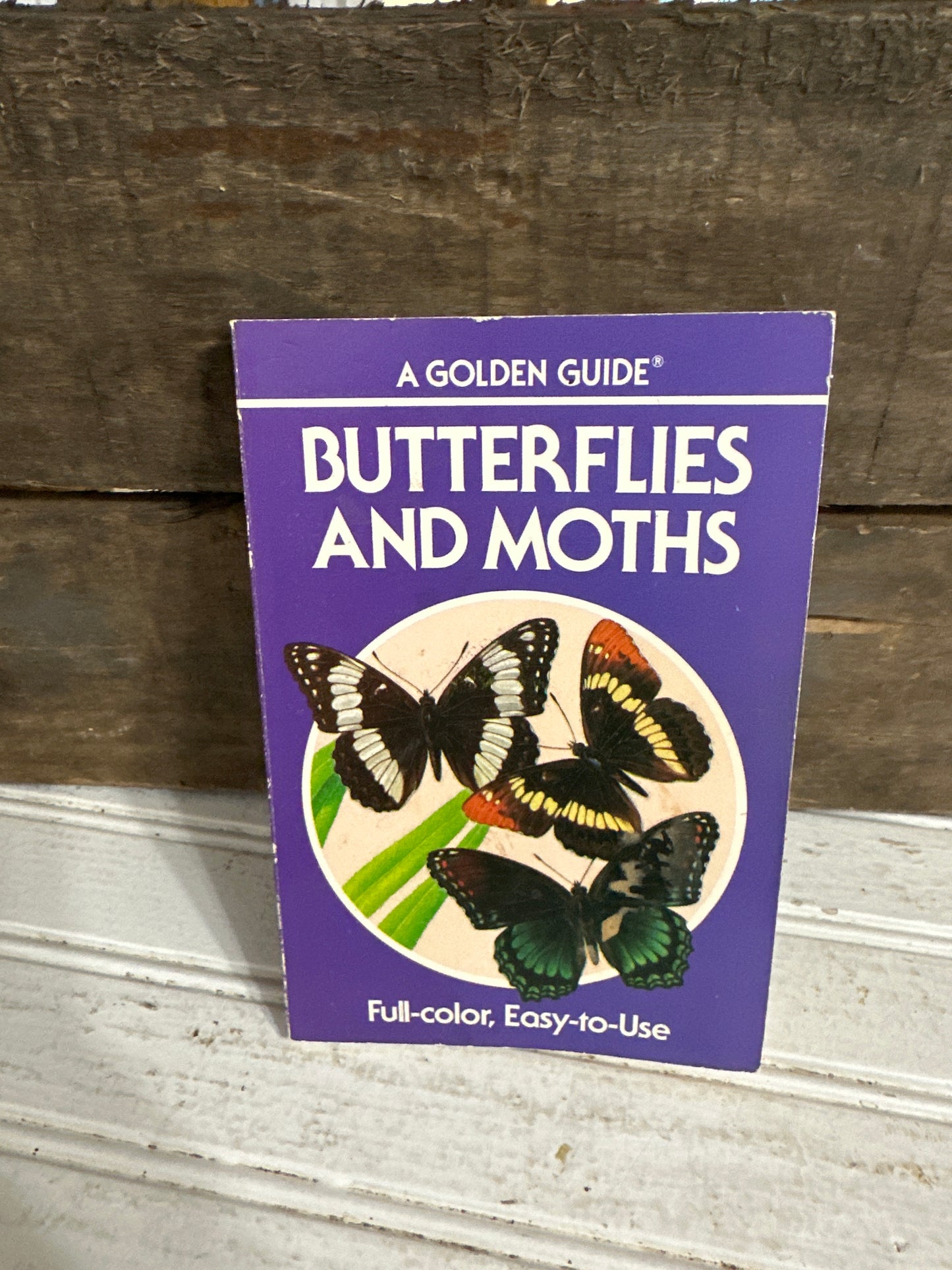 Butterflies and Moths