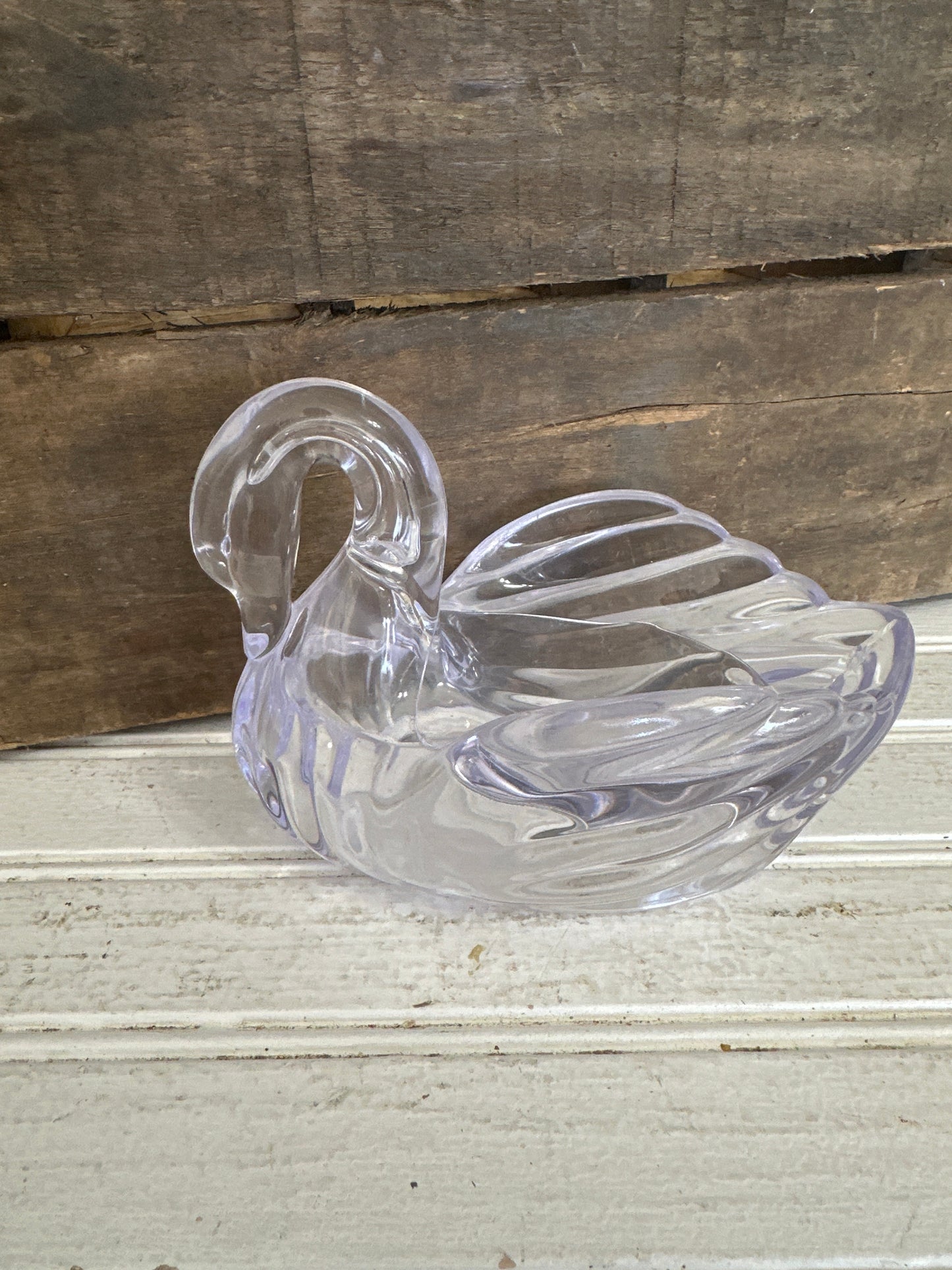 Clear plastic Swan