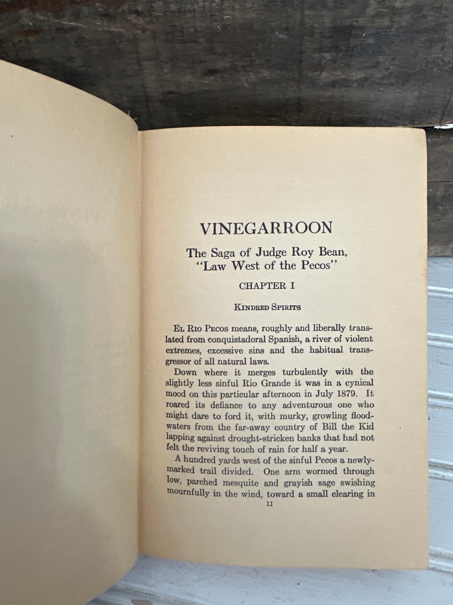 Vinegarroon-Judge Roy Bean