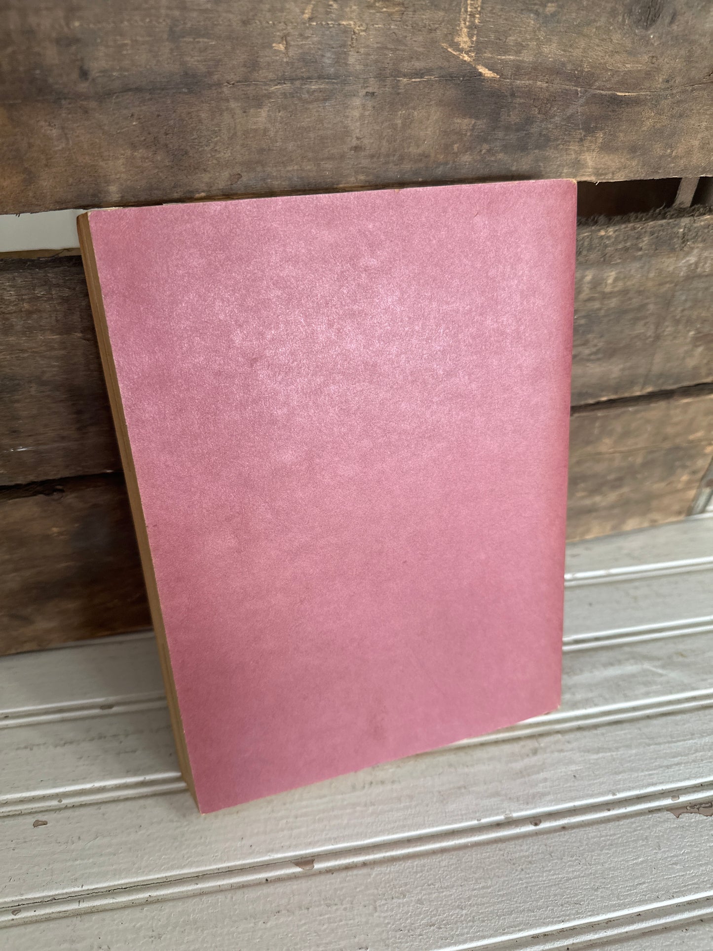 Cadette Girl Scout Handbook