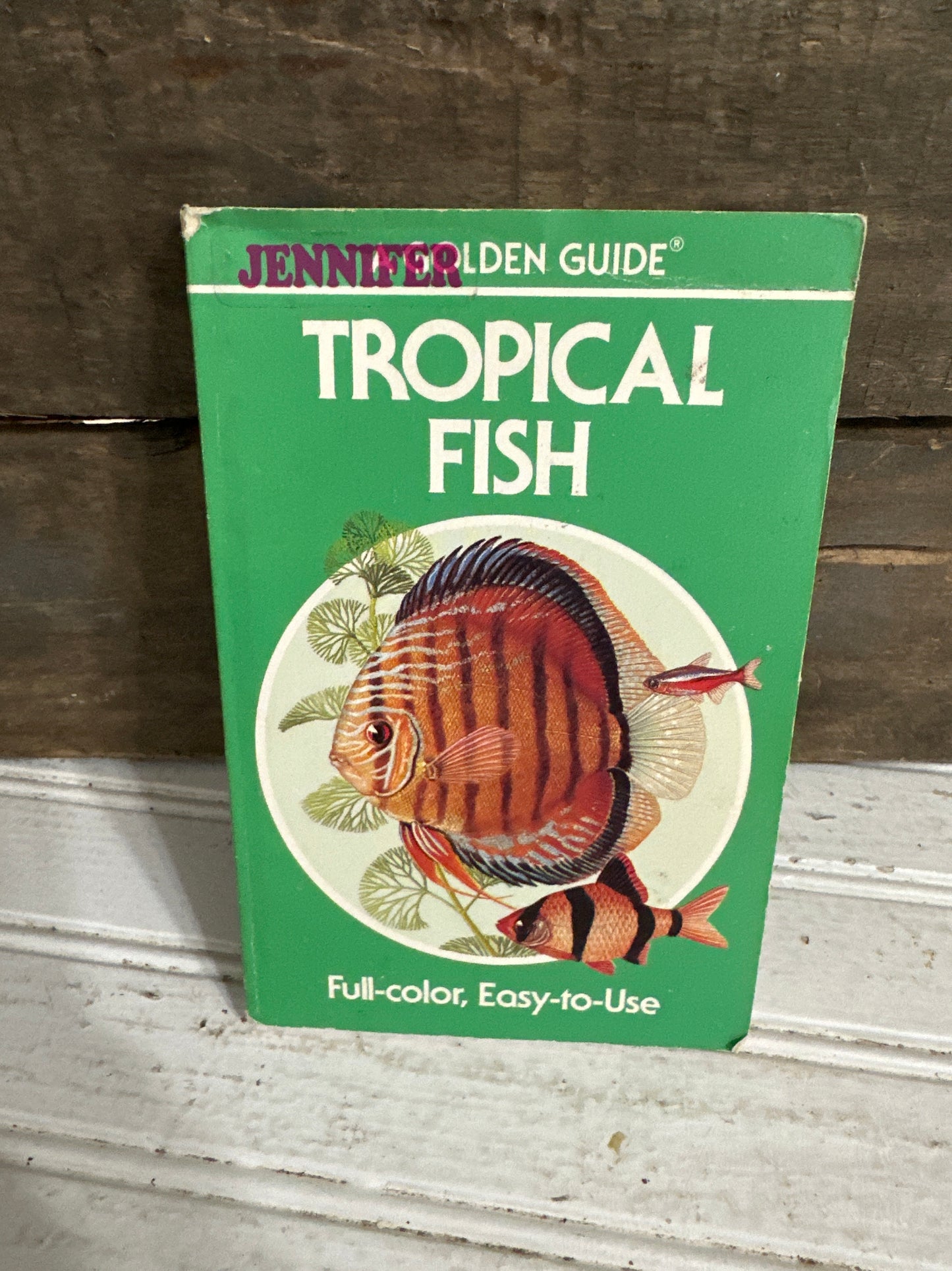 Tropical Fish