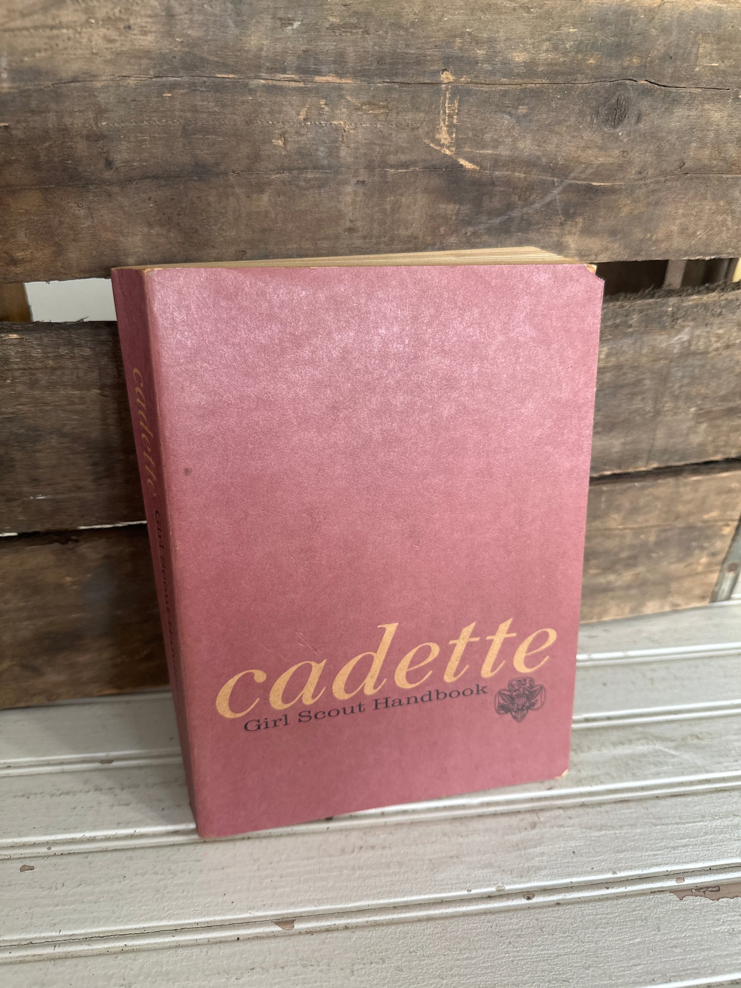 Cadette Girl Scout Handbook