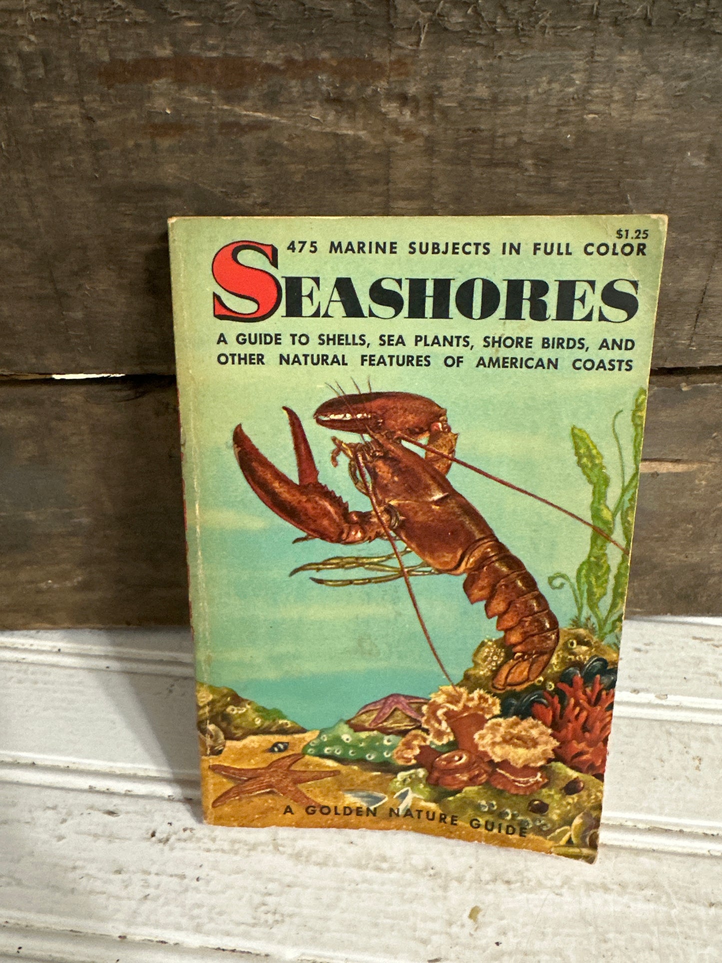 Seashores