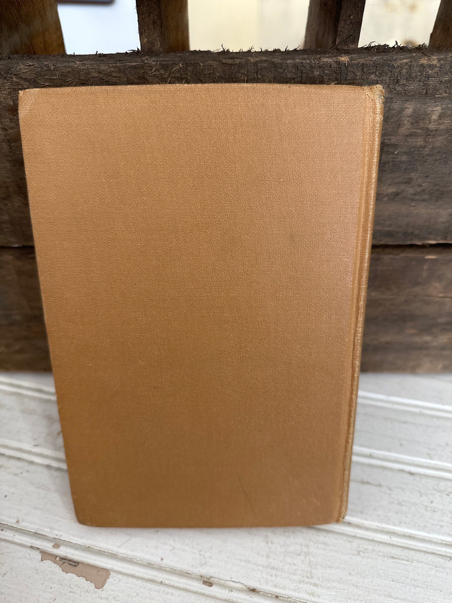 Vinegarroon-Judge Roy Bean