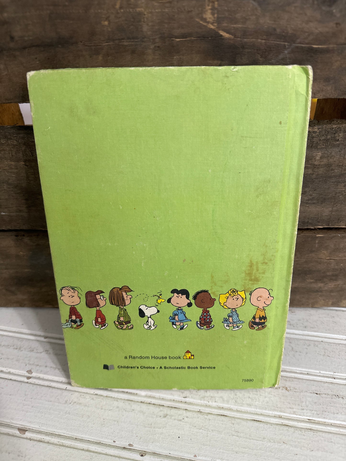 It’s a Mystery, Charlie Brown