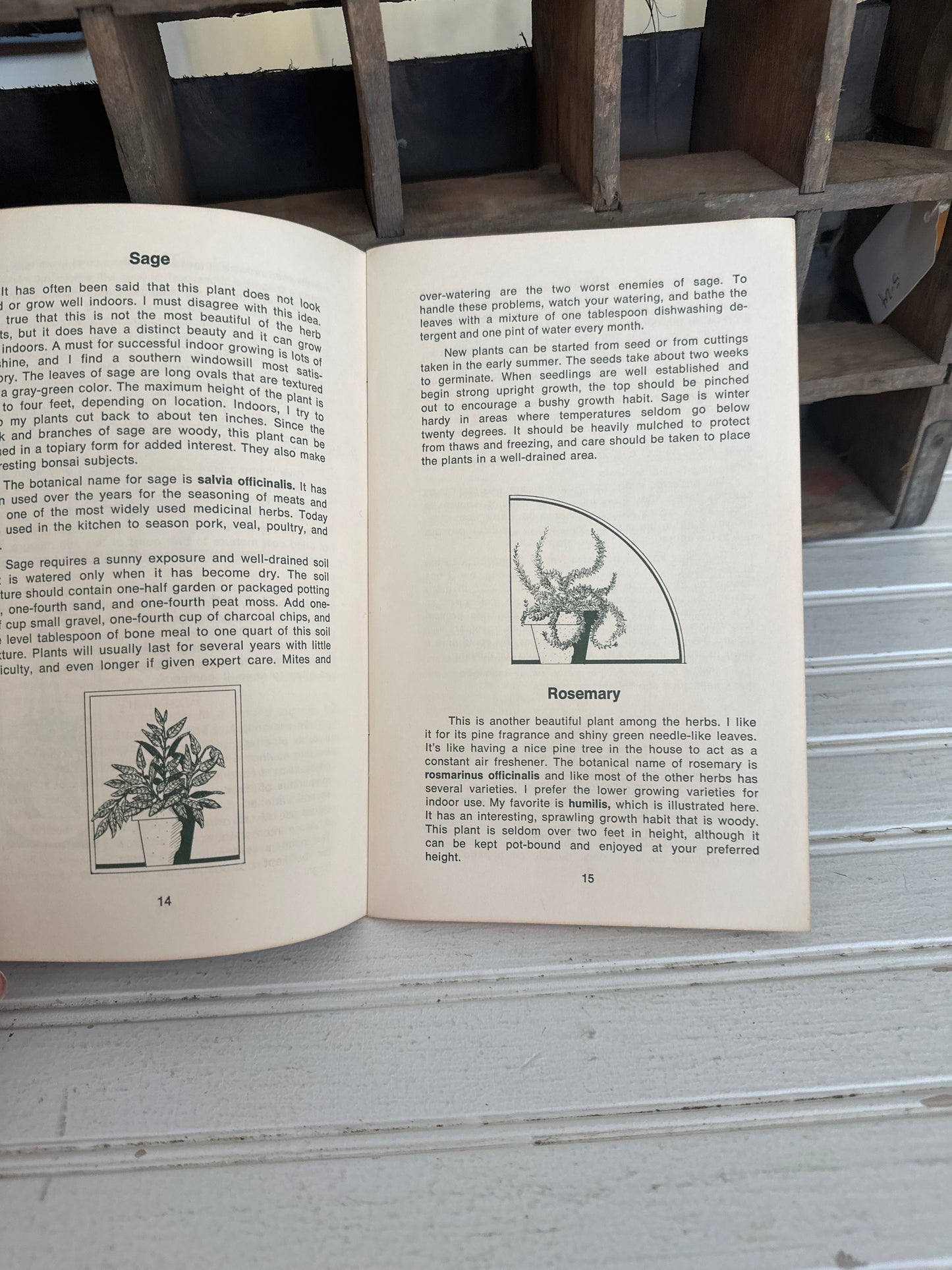 Gardening with Herbs