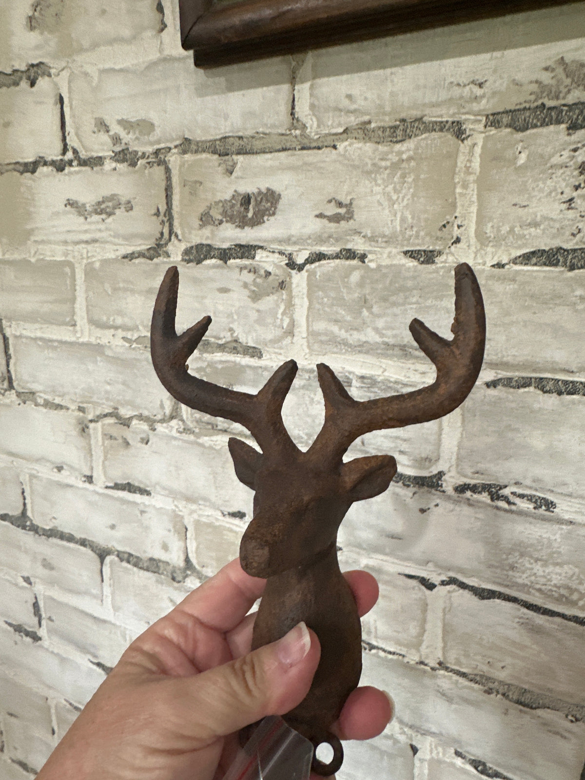 Deer Head wall hook