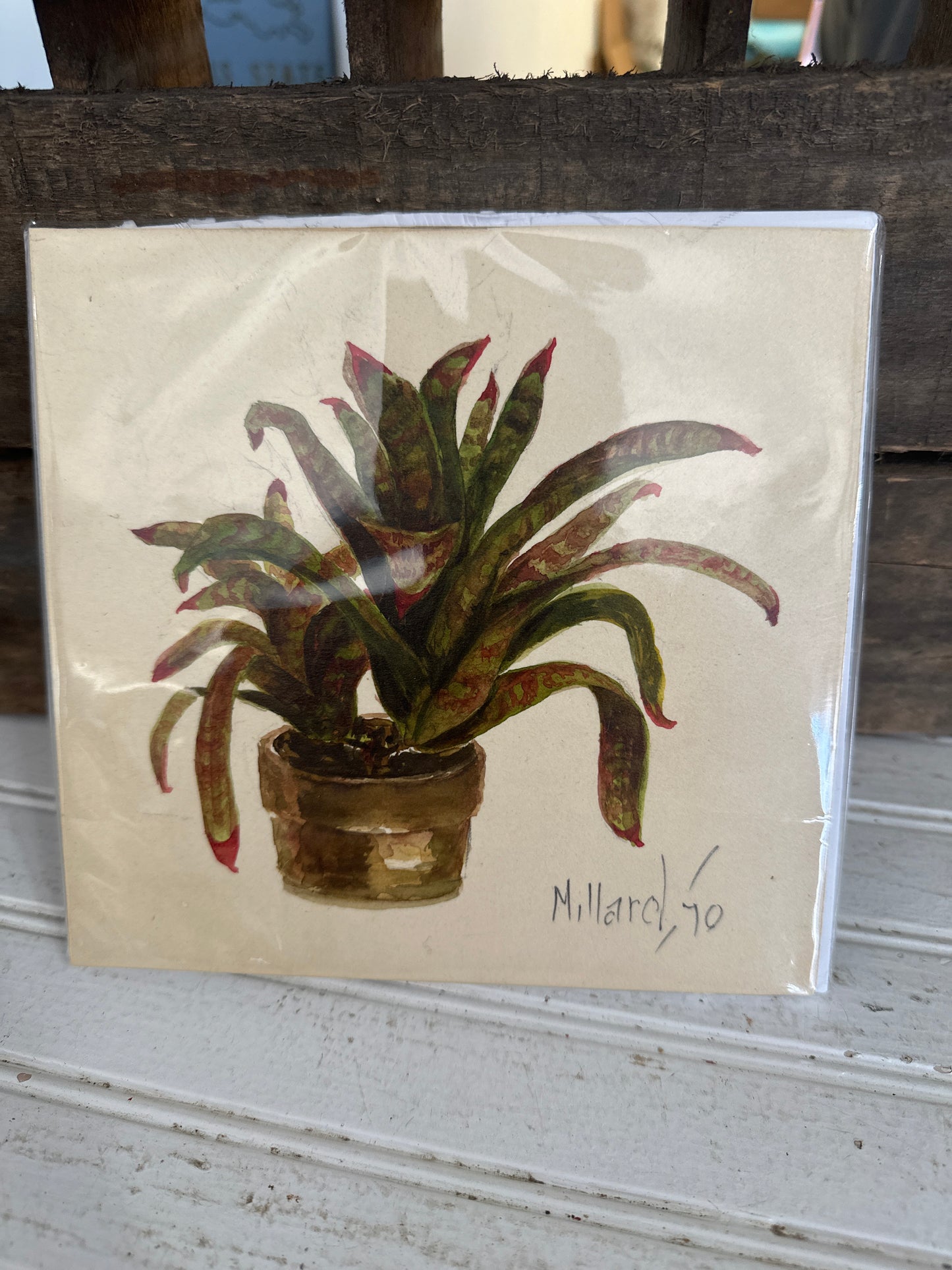Milford original art -plant