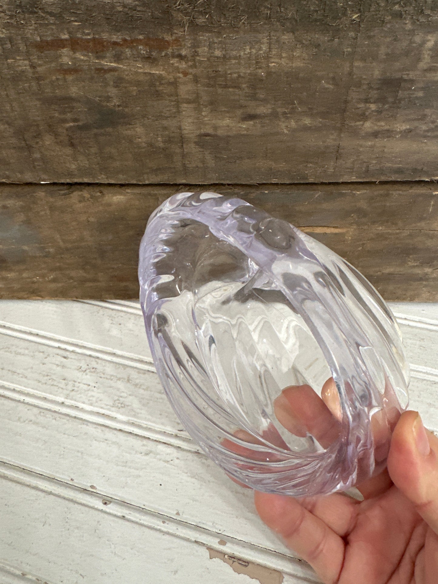 Clear plastic Swan