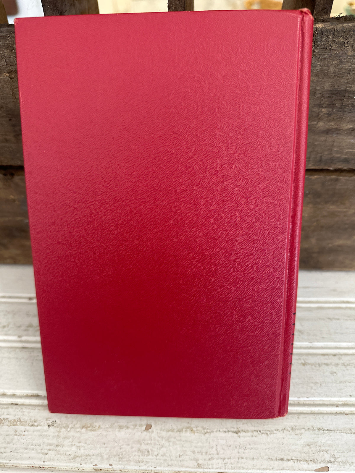 The Happy Hollisters At Snowflake Camp