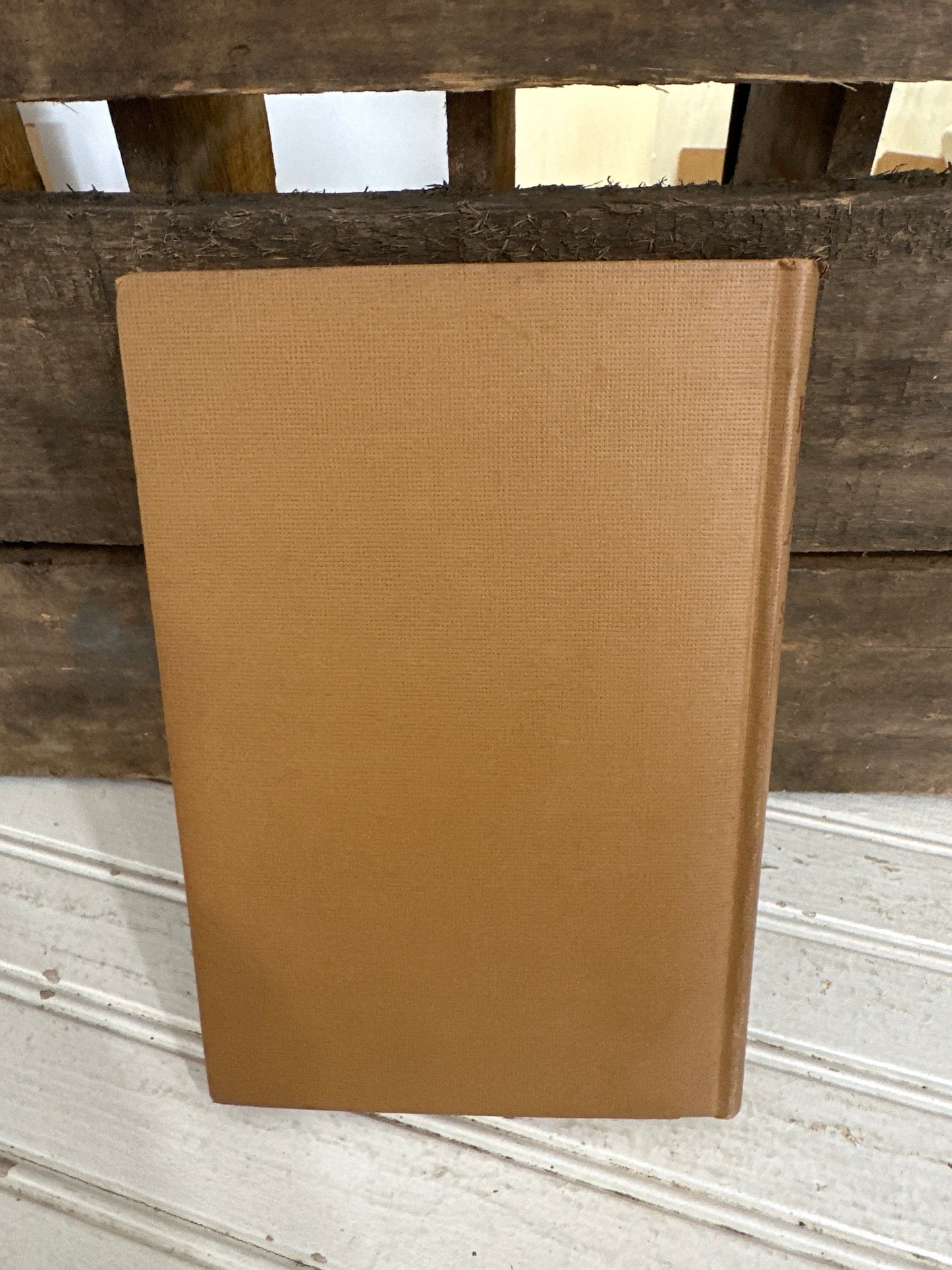 The Lone Ranger Rides Again