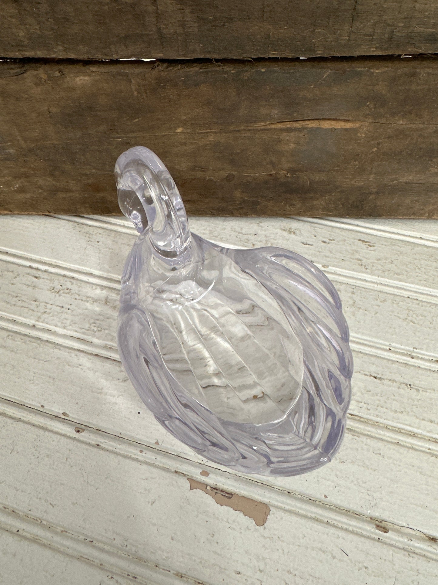 Clear plastic Swan