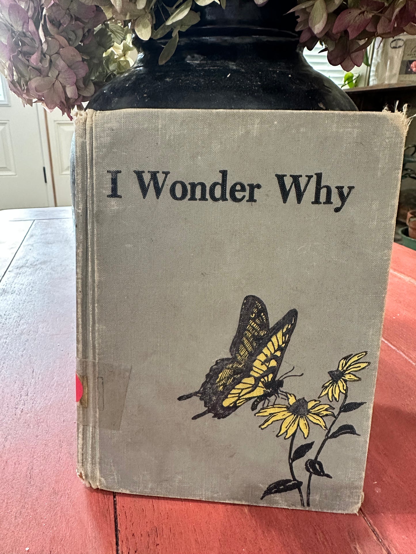 I Wonder Why