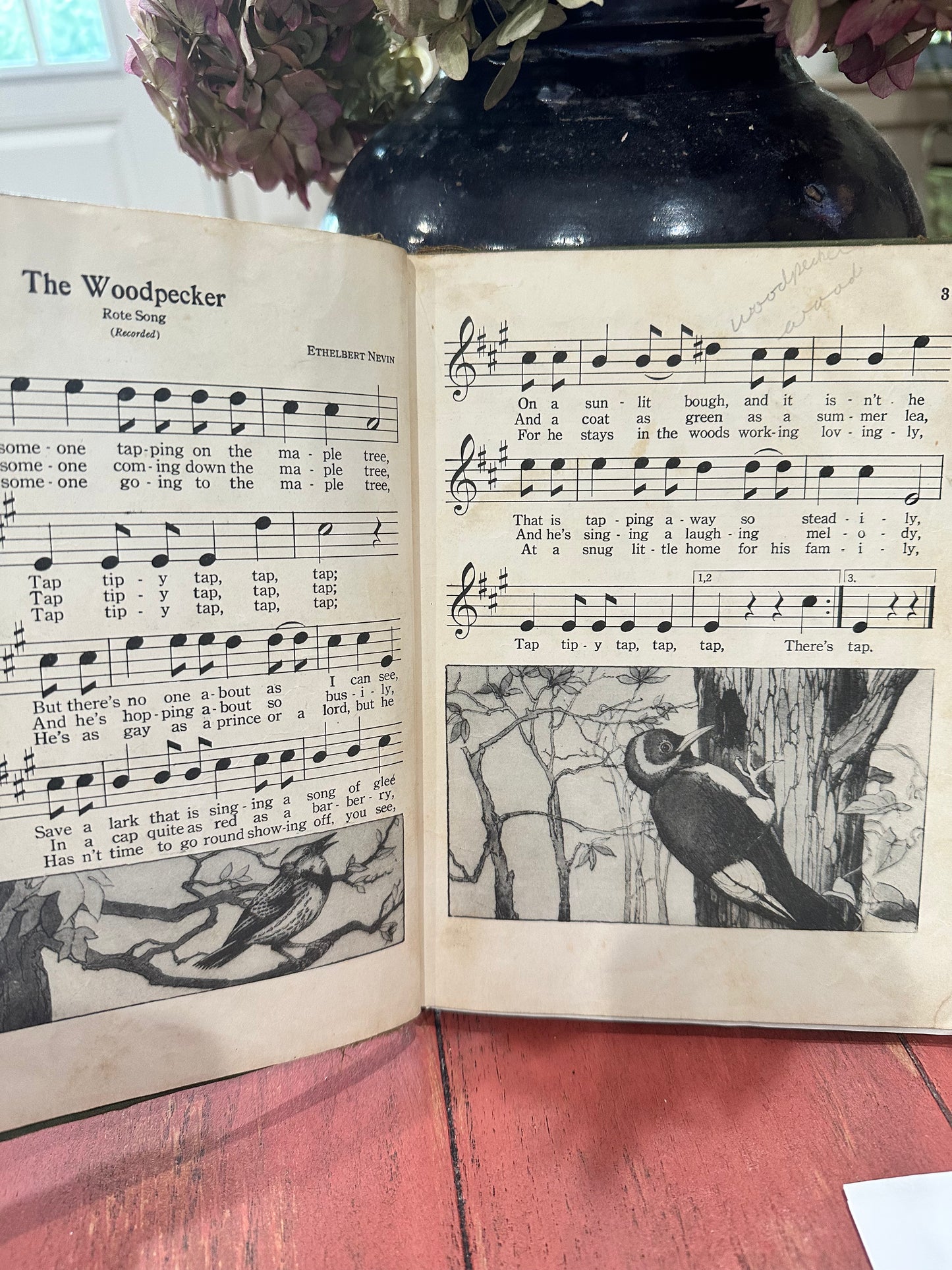 The Music Hour - Transition Book