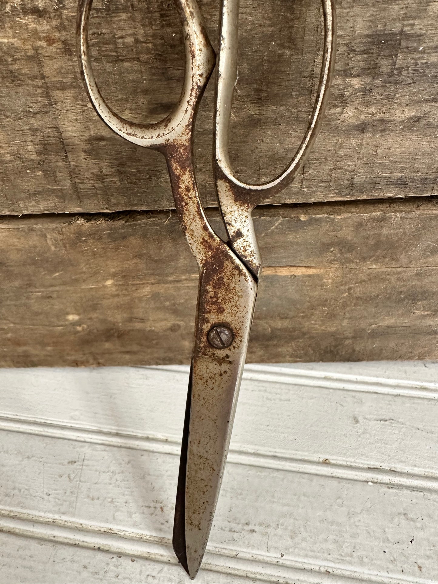 Metal Scissors