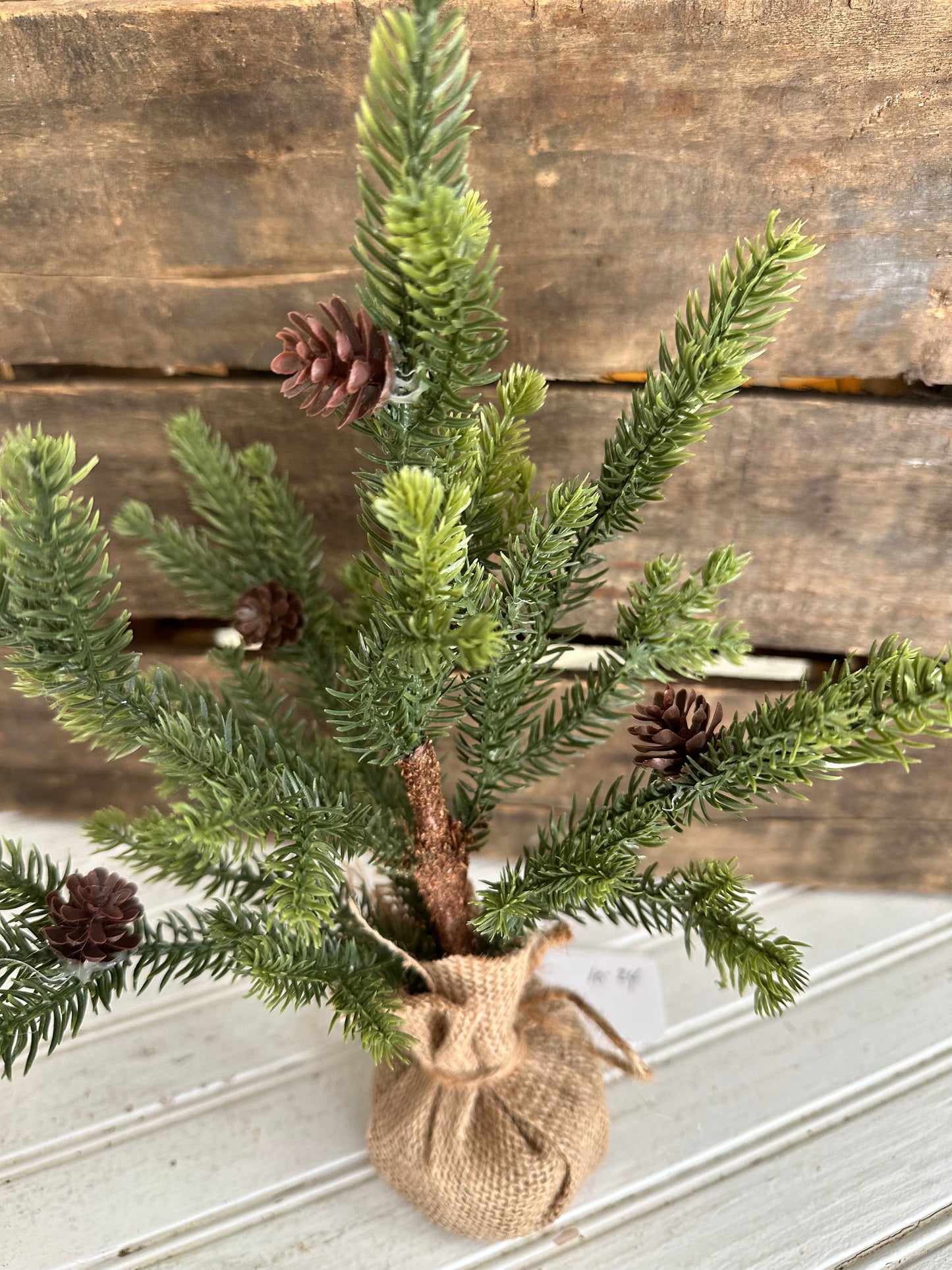 Pinecone Tree
