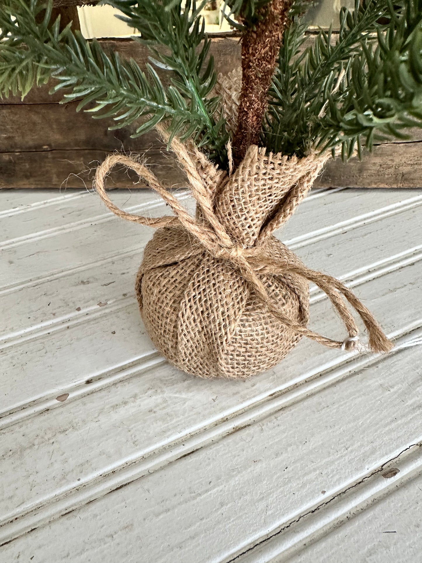 Pinecone Tree