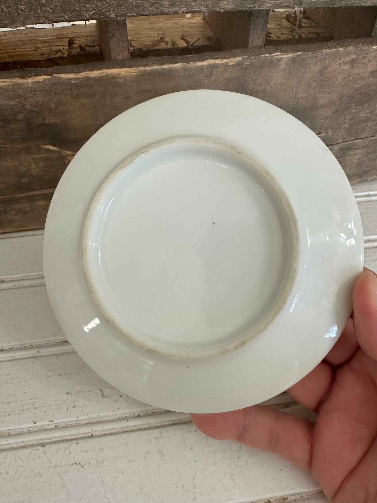 Chadwick Saucer w/ bird design
