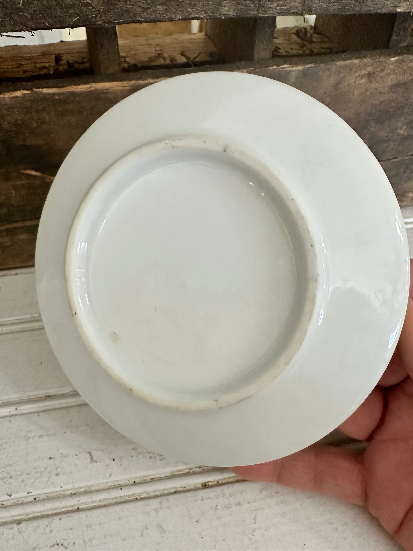 Chadwick Saucer w/ bird design