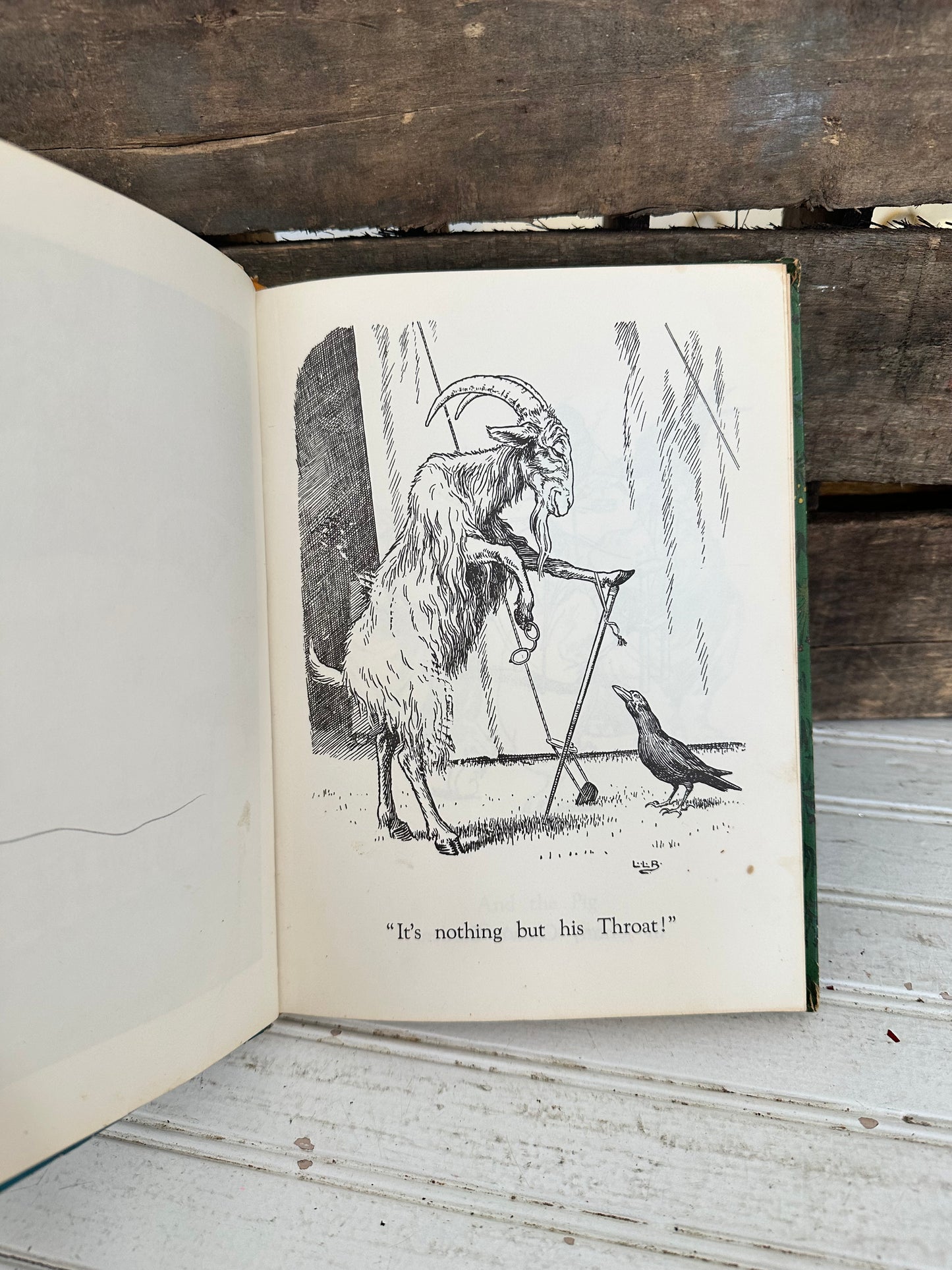 Johnny Grows Garden/Anderson’s Fairy Tales- Dandelion Library