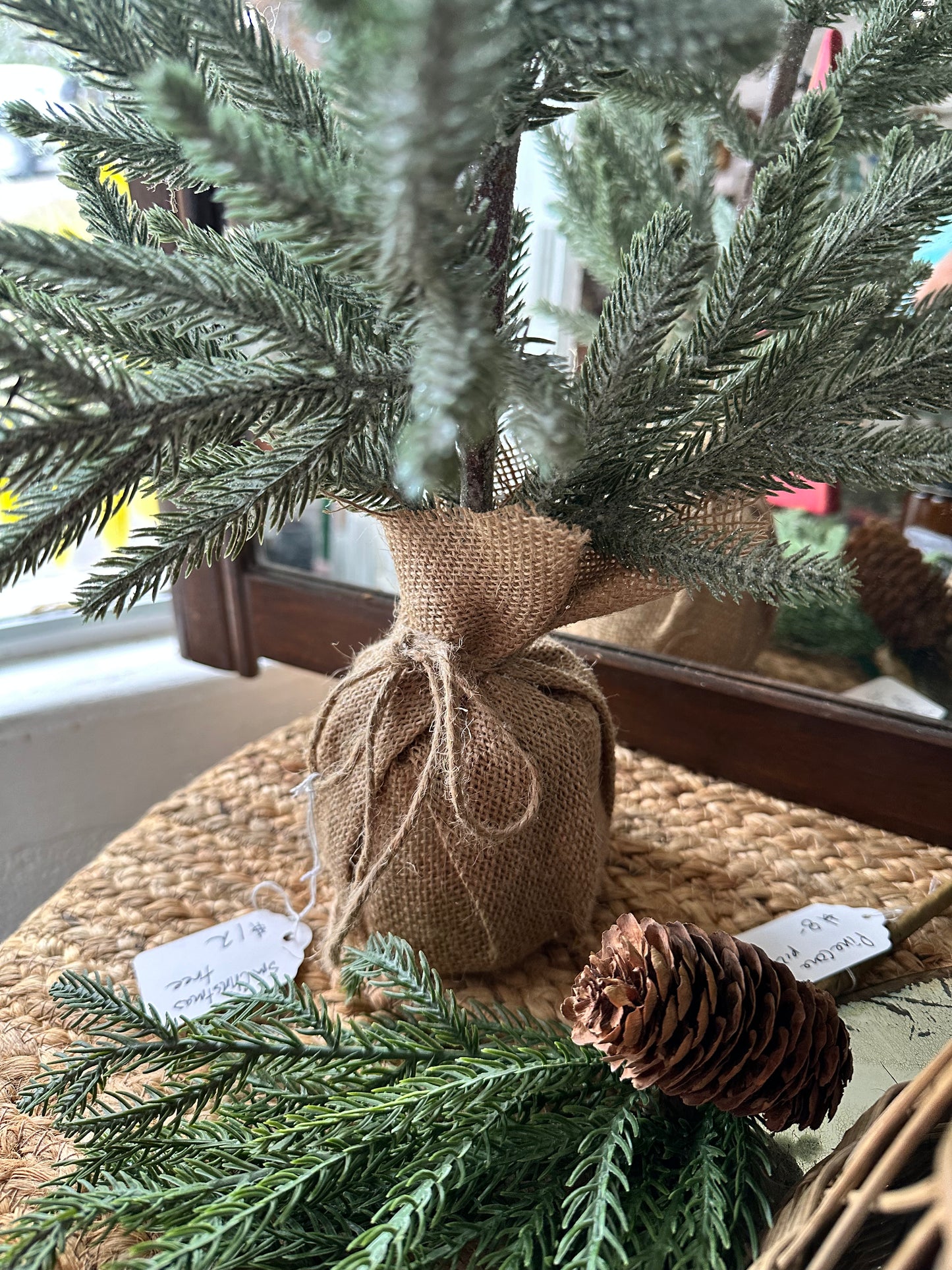 Frosted tree-sage green