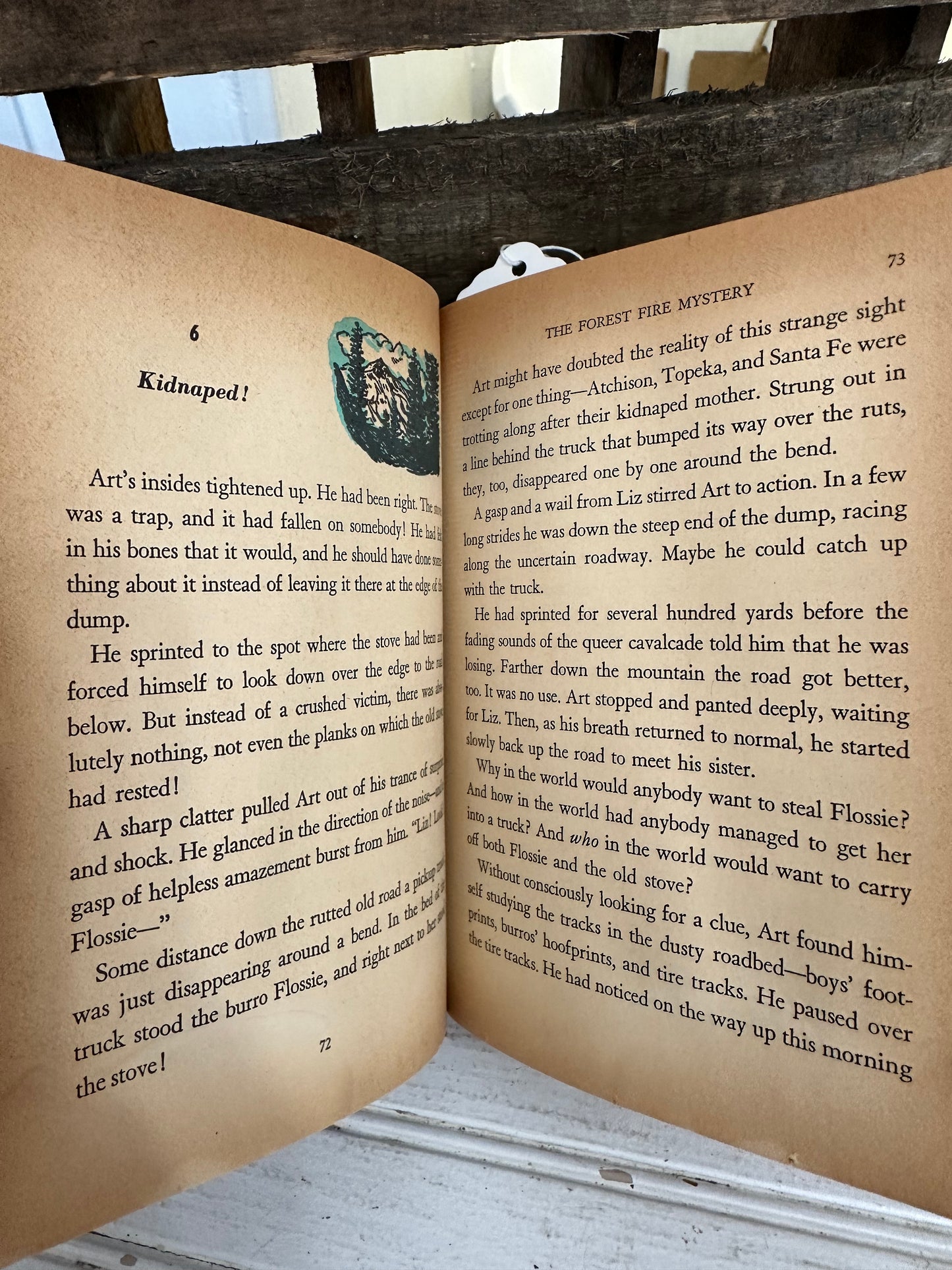 The Forest Fire Mystery