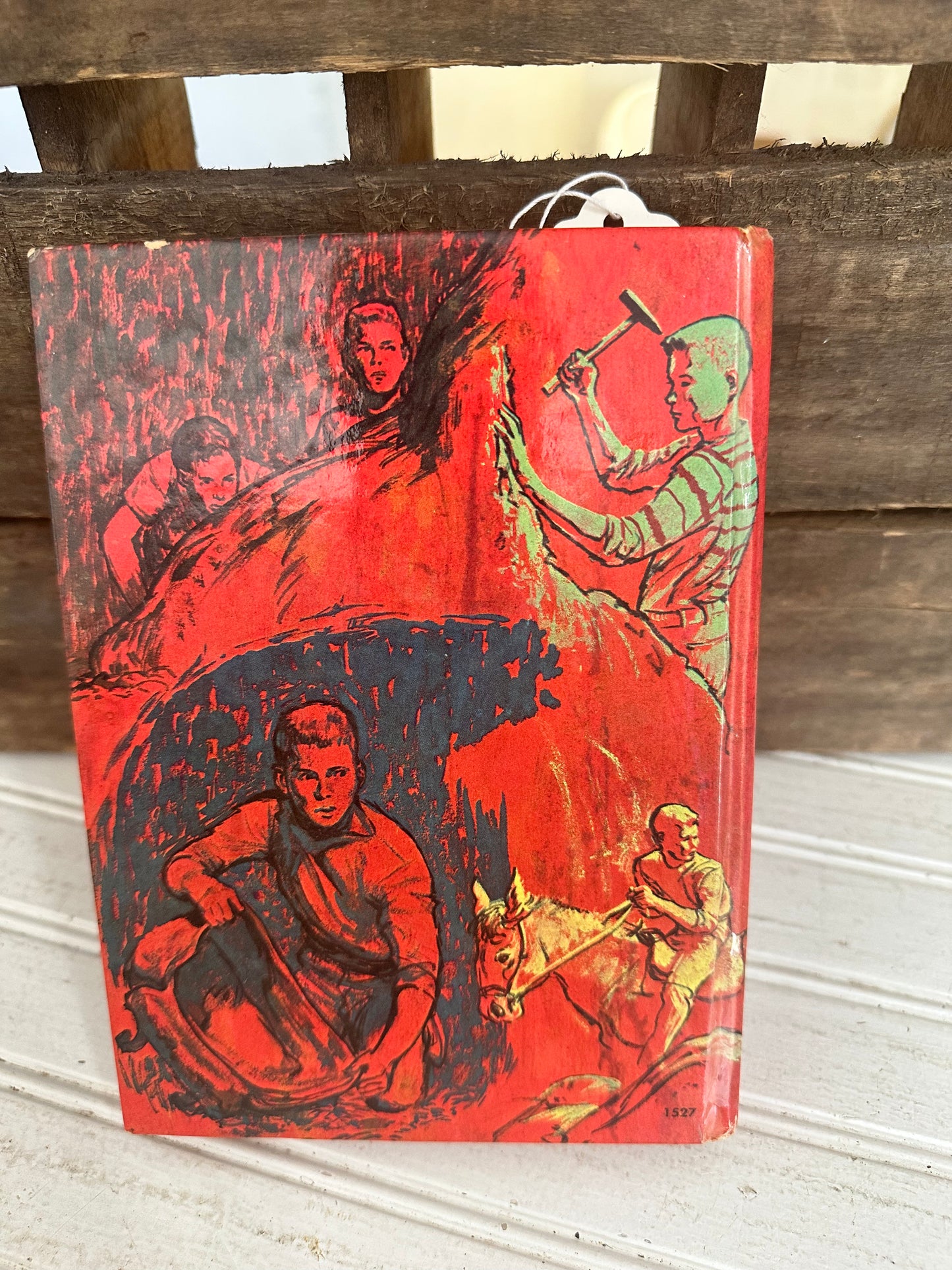 The Forest Fire Mystery