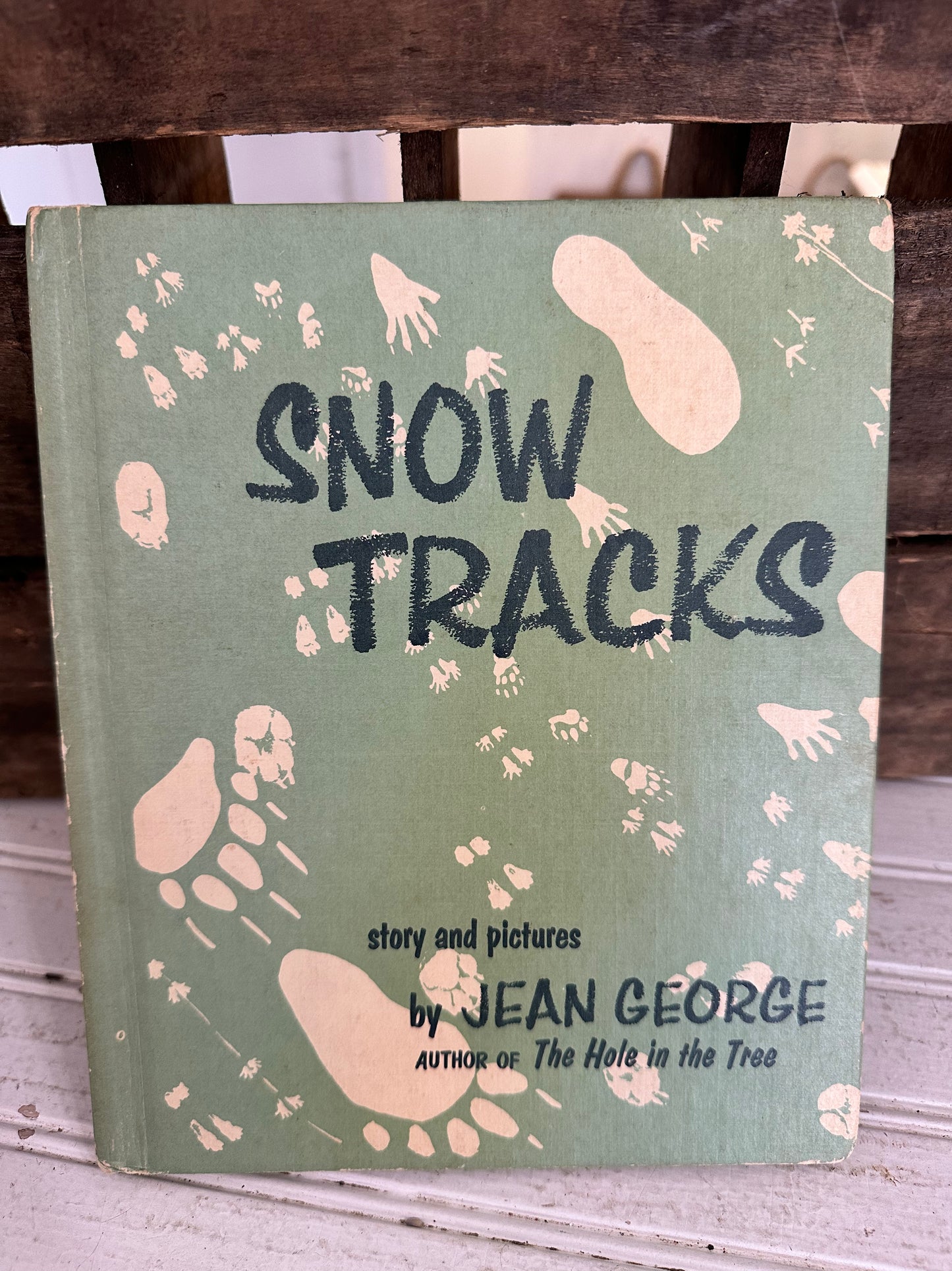 Snow Tracks