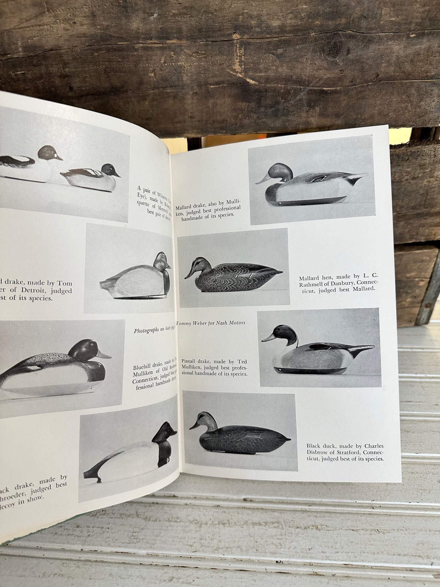 Duck Decoys