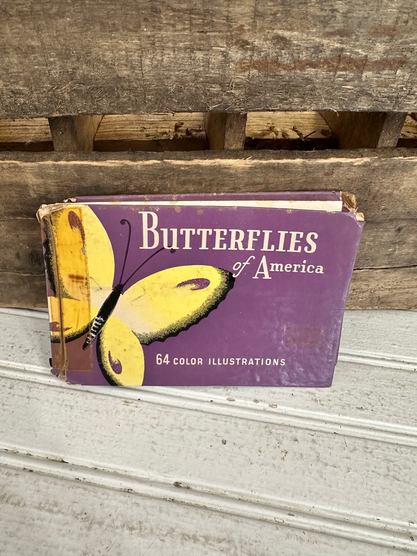Butterflies of America