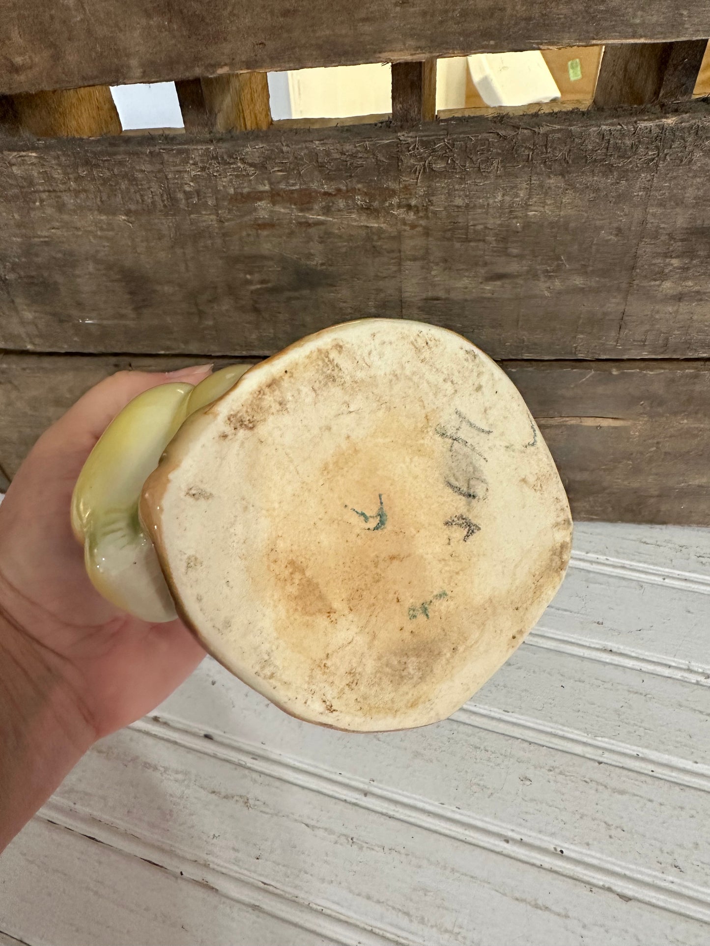 Mushroom/tree trunk planter