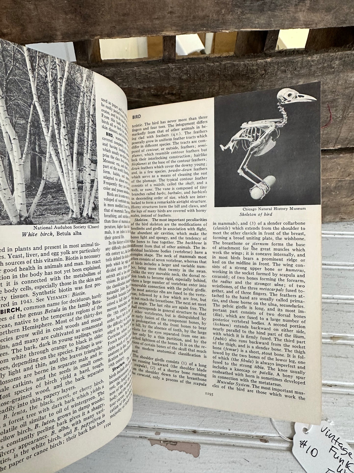 Funk & Wagnalls Encyclopedia