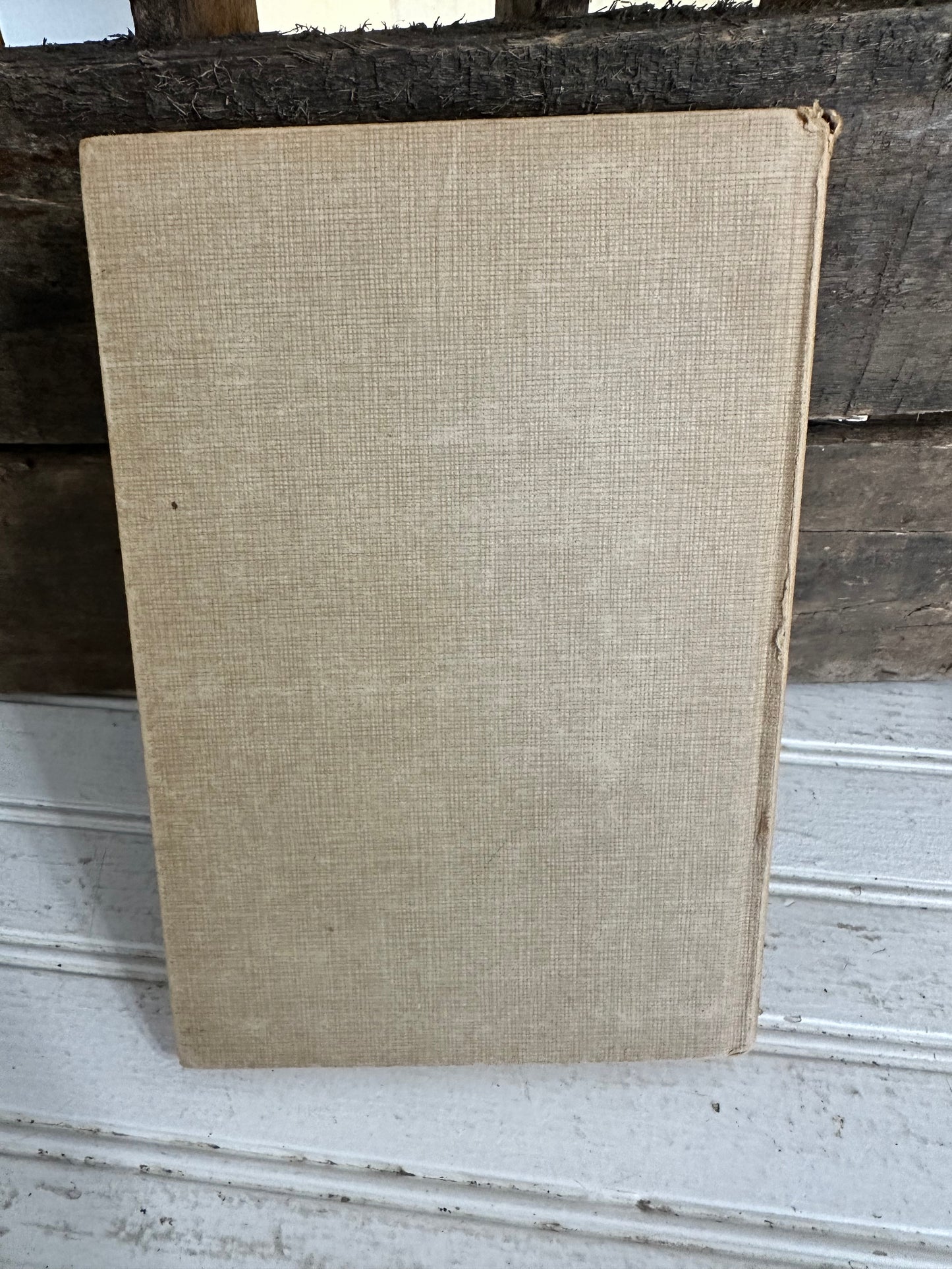 The Missing Chums-Hardy Boys Mystery
