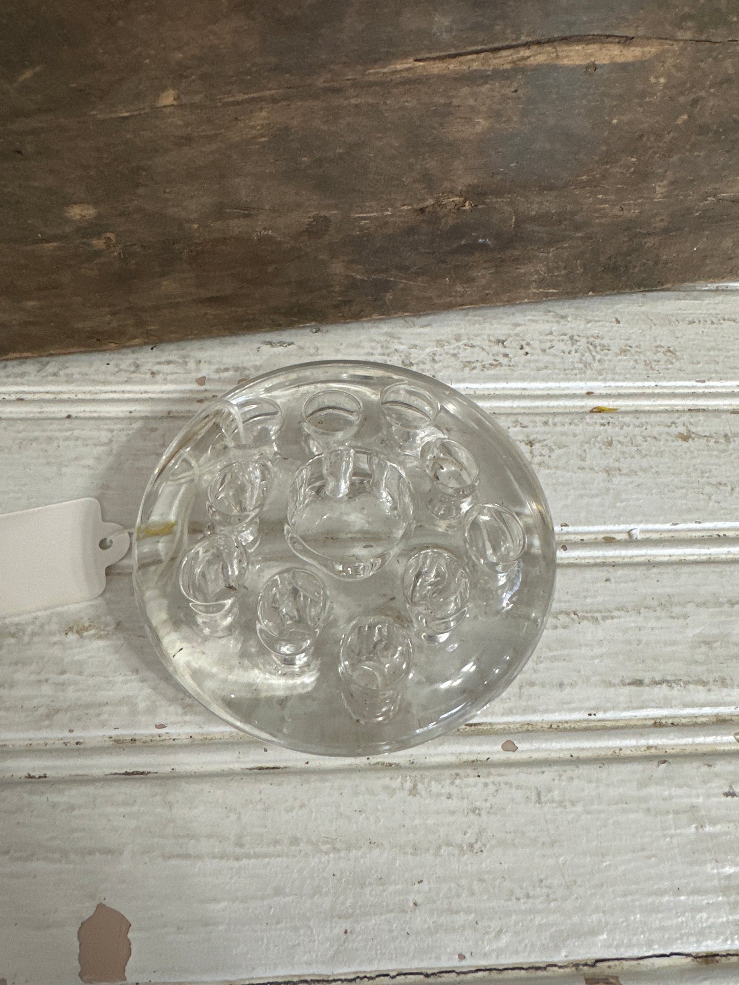 Glass flower frog