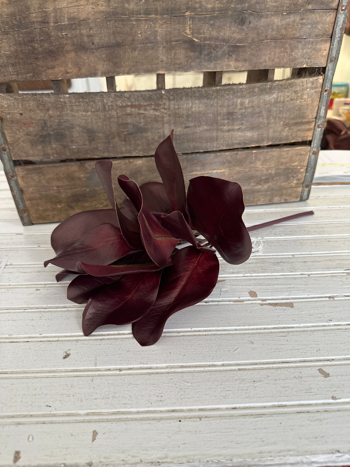 Magnolia Leaf spray