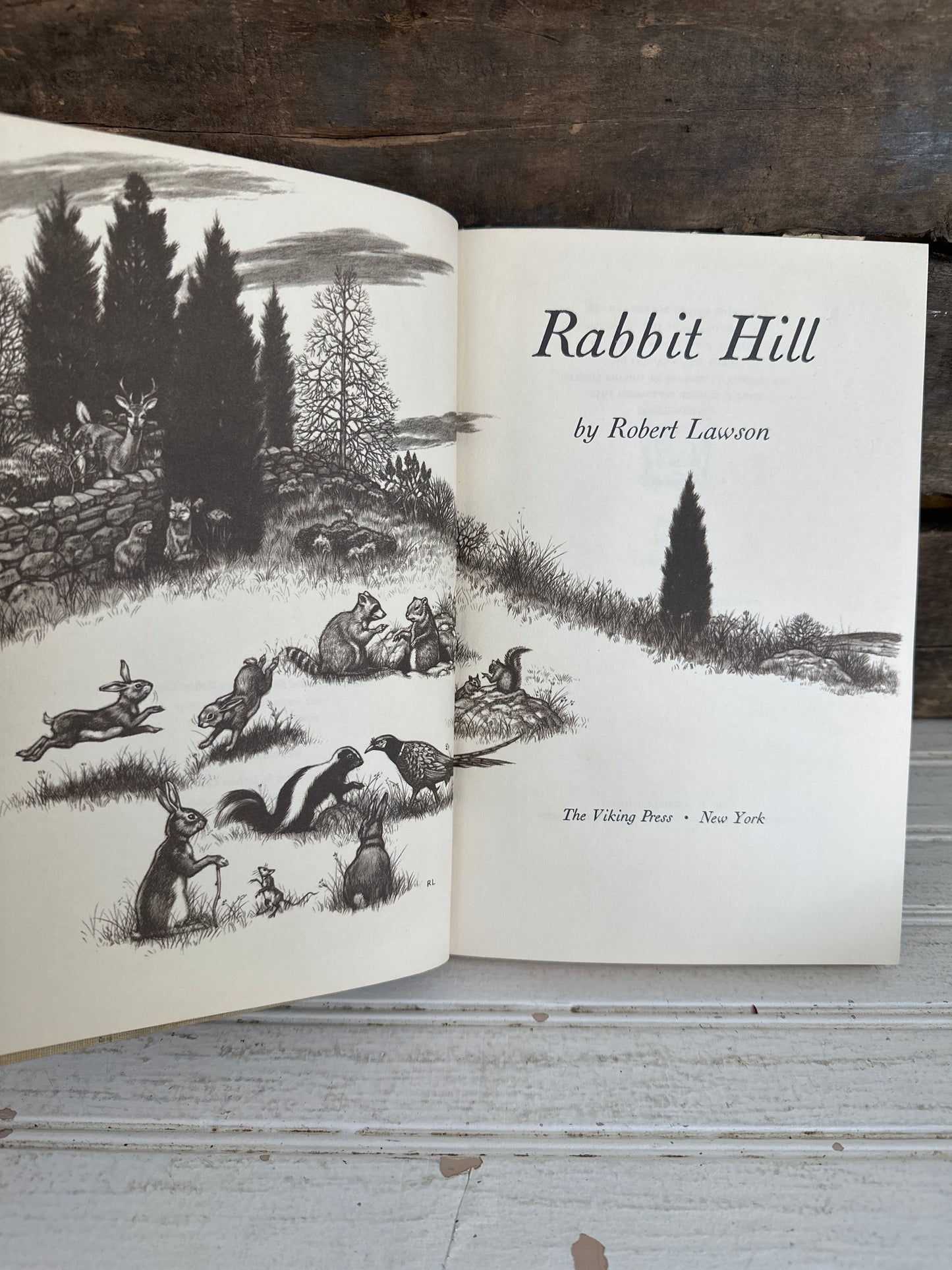 Rabbit Hill
