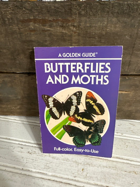 Butterflies and Moths