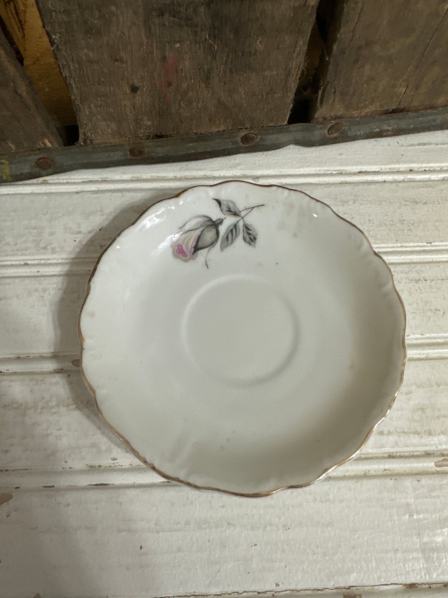 Saucer- rose - Japan