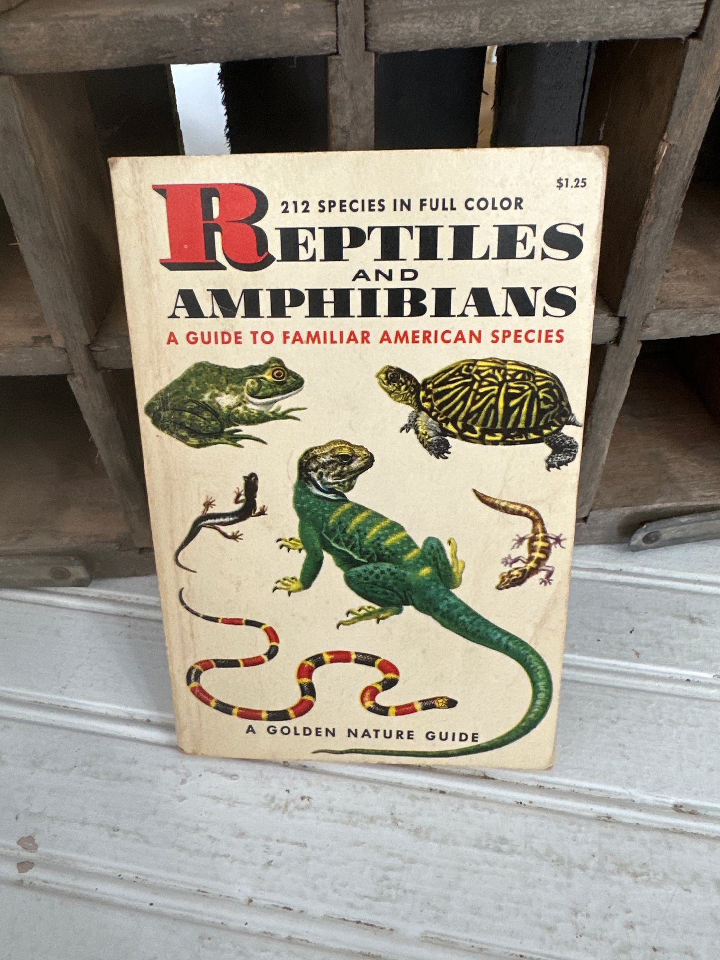 Reptiles and Amphibians guide