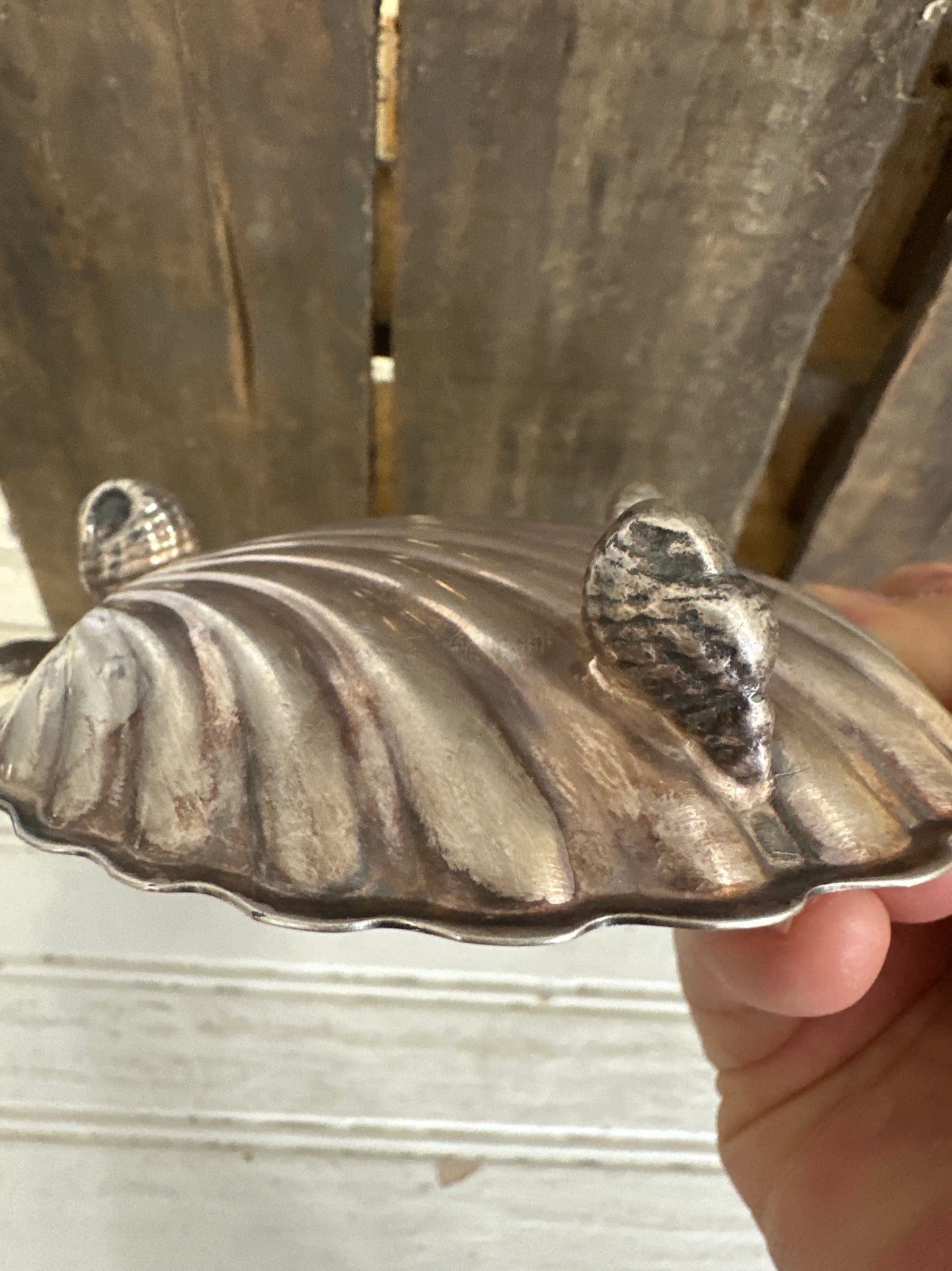 William Adams silver plate shell dish- footed- antique