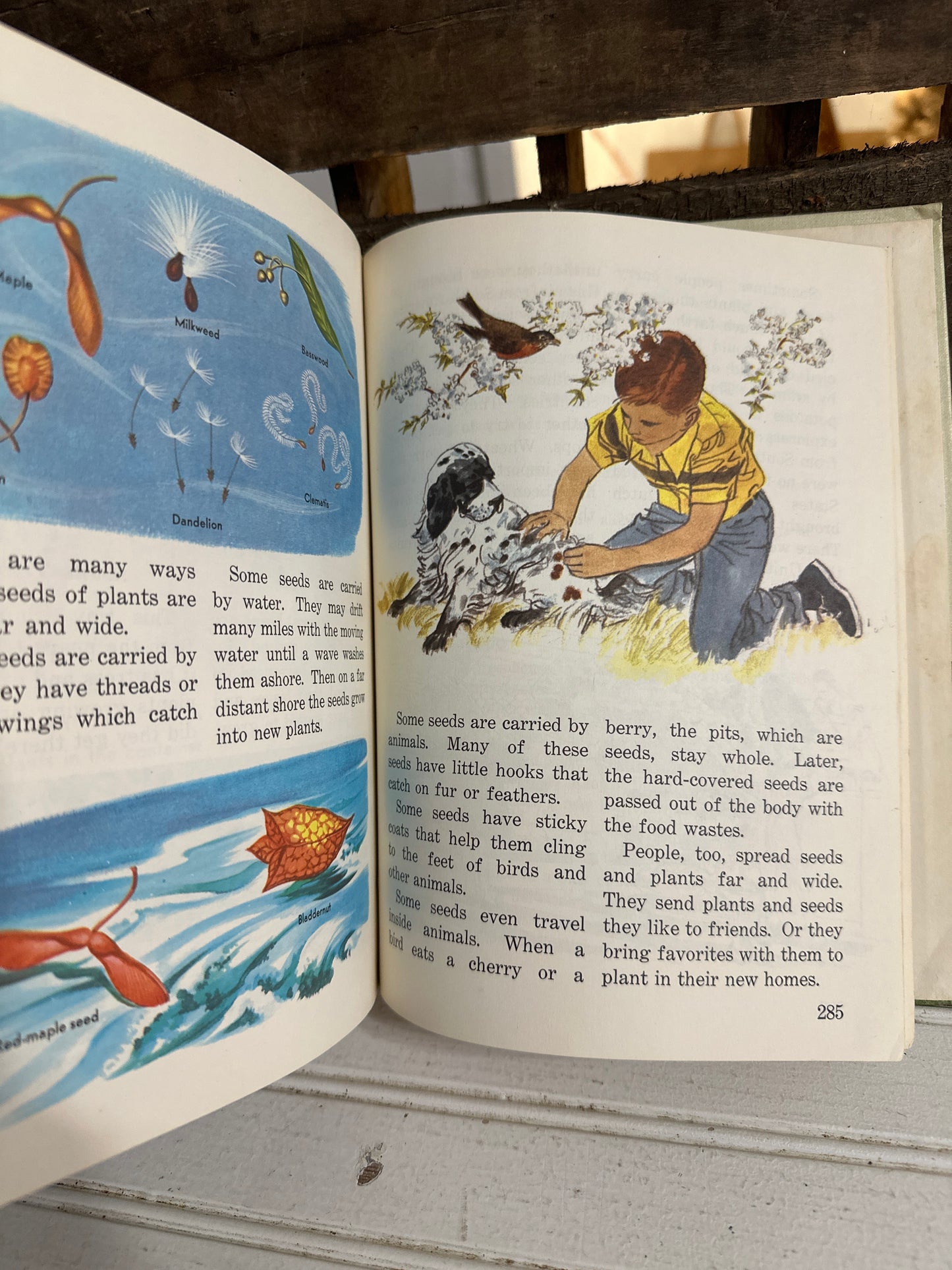 Science in your Life- Book 4