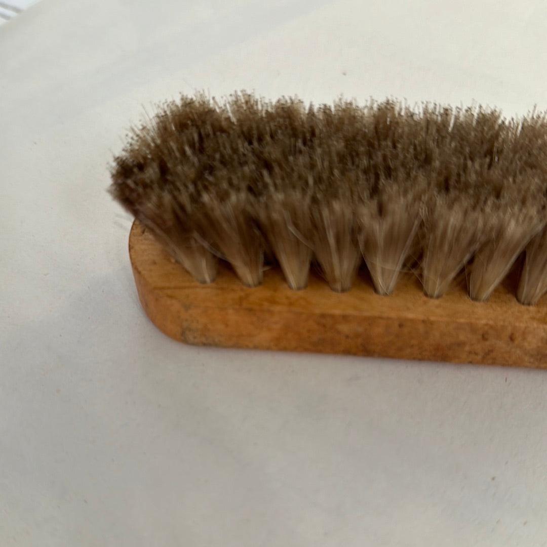 Shoe shine brush