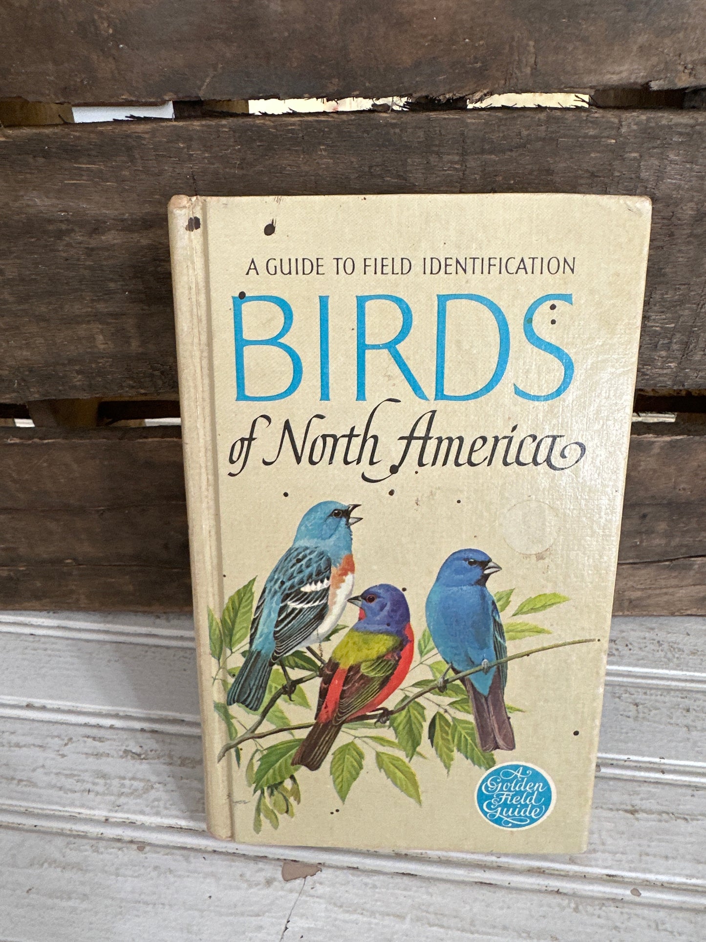 Birds of North America