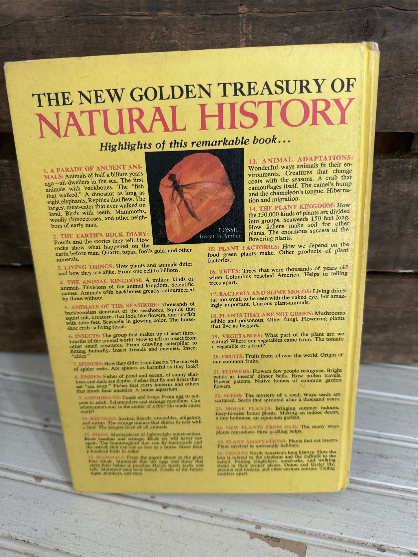 The New Golden Treasury of Natural History