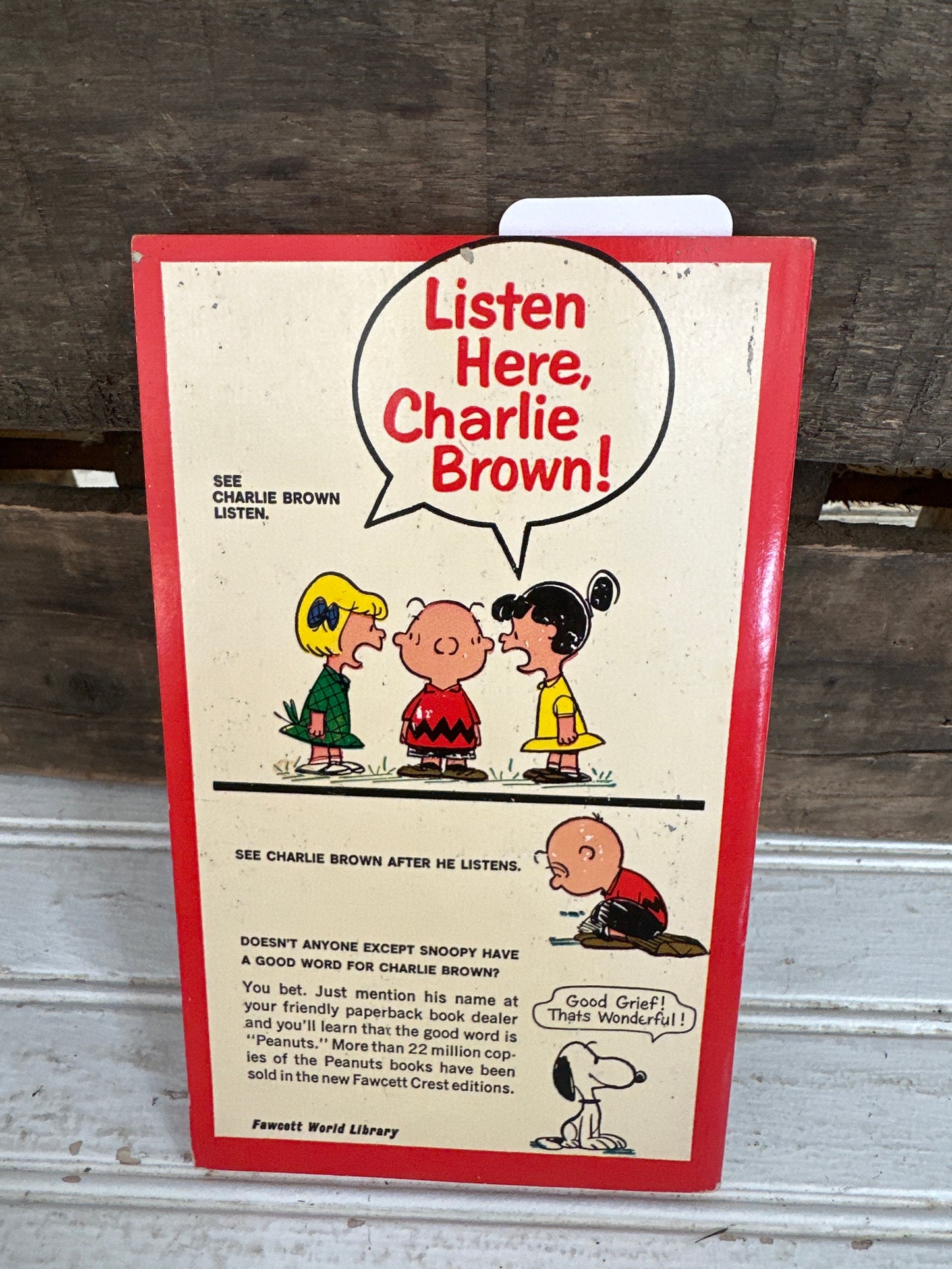 You’re My Hero, Charlie Brown