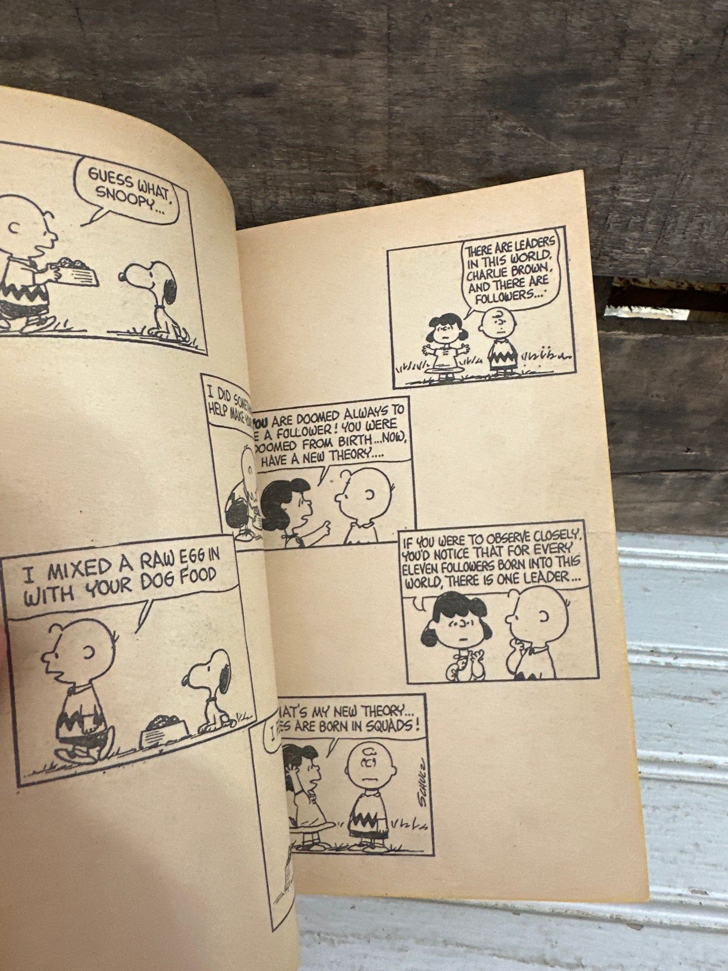 You’re a Pal, Snoopy