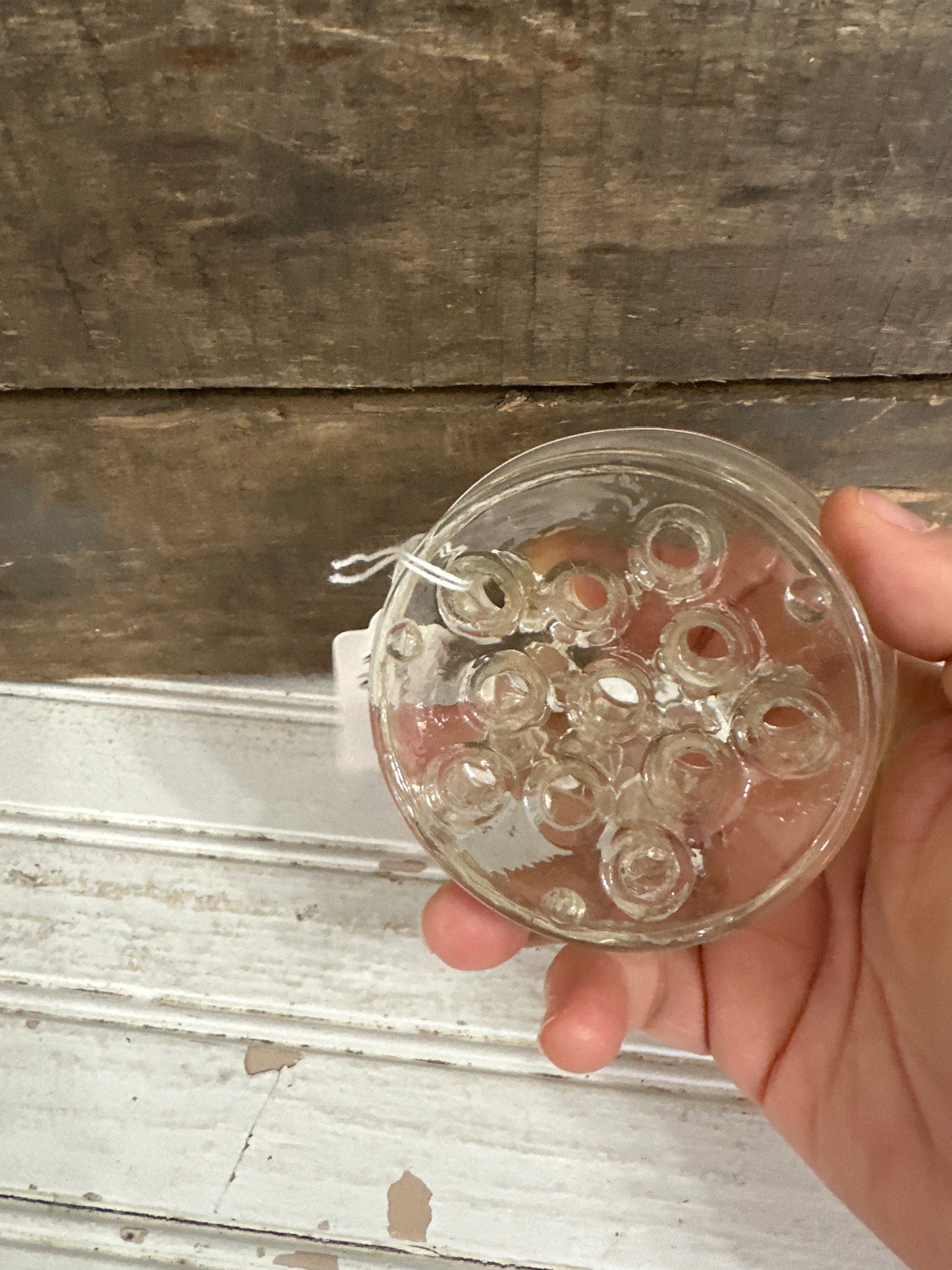 Glass flower frog