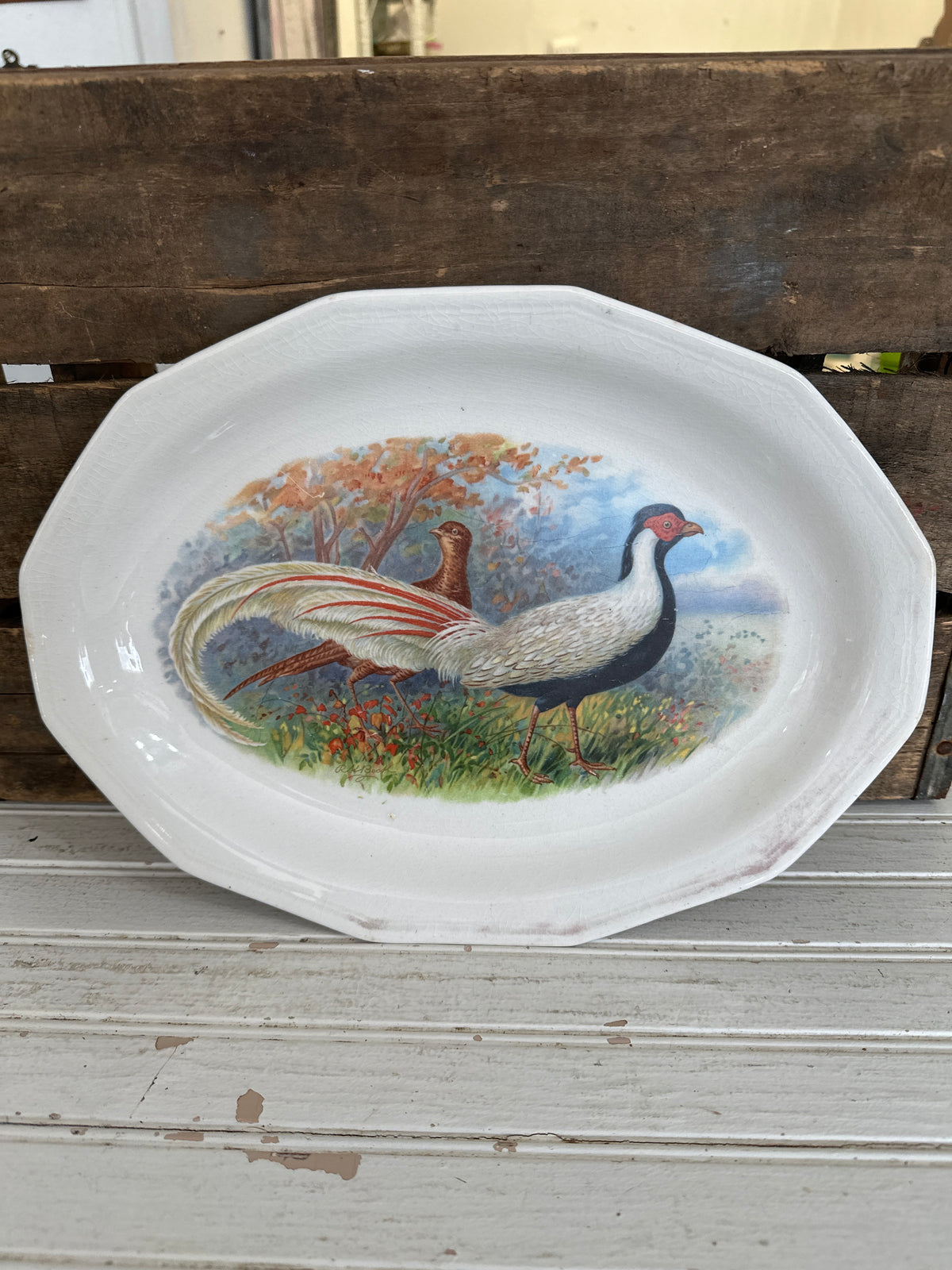 Game Birds- pheasants 1920’s platter- local pickup only