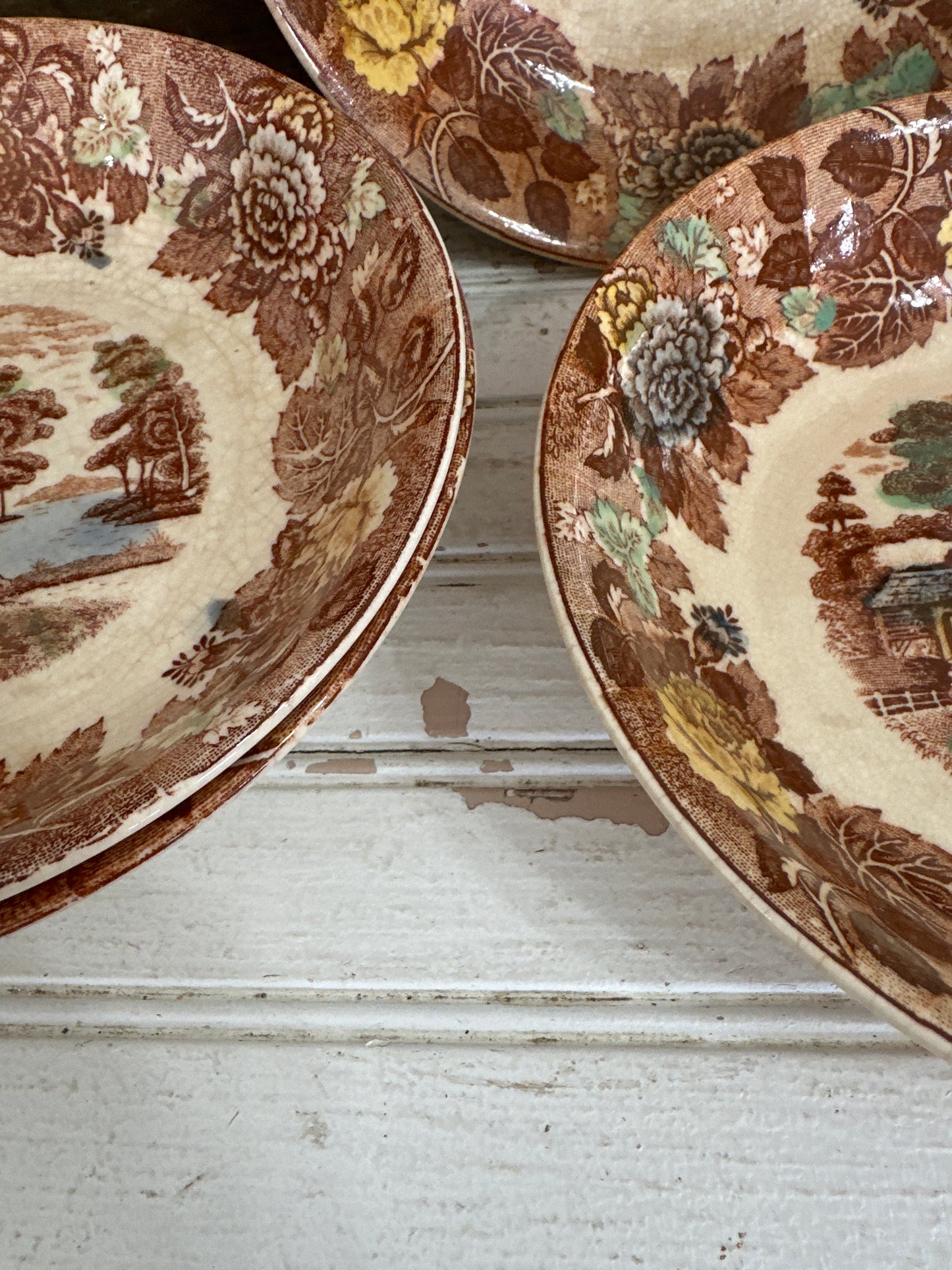Nasco Mountain/ Woodland bowls- local pick up only